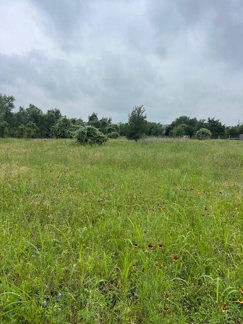 Bastrop, TX 78602,Lot 442 E Pauwela LN