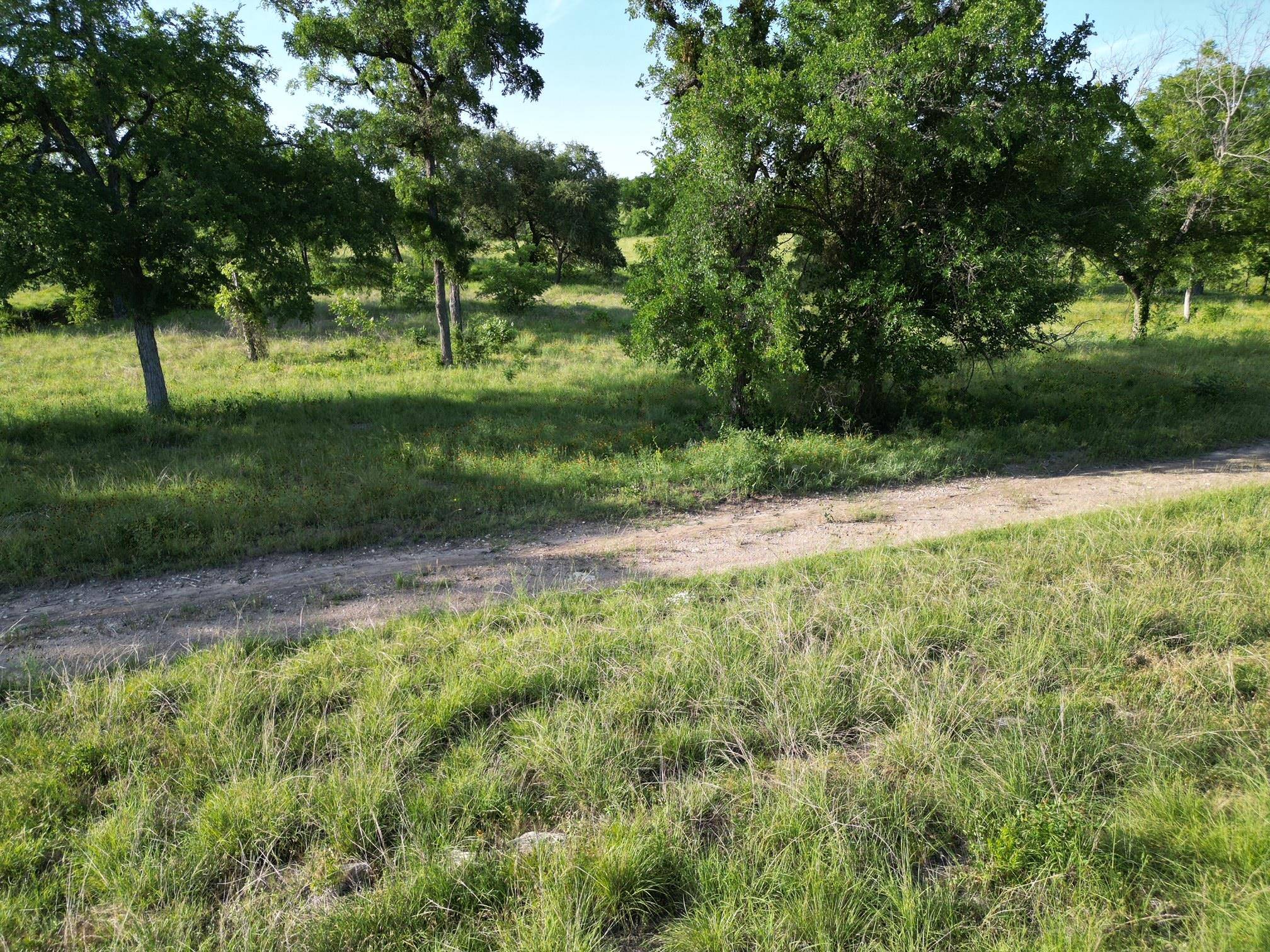 Bertram, TX 78605,Lot 28 Serenity DR