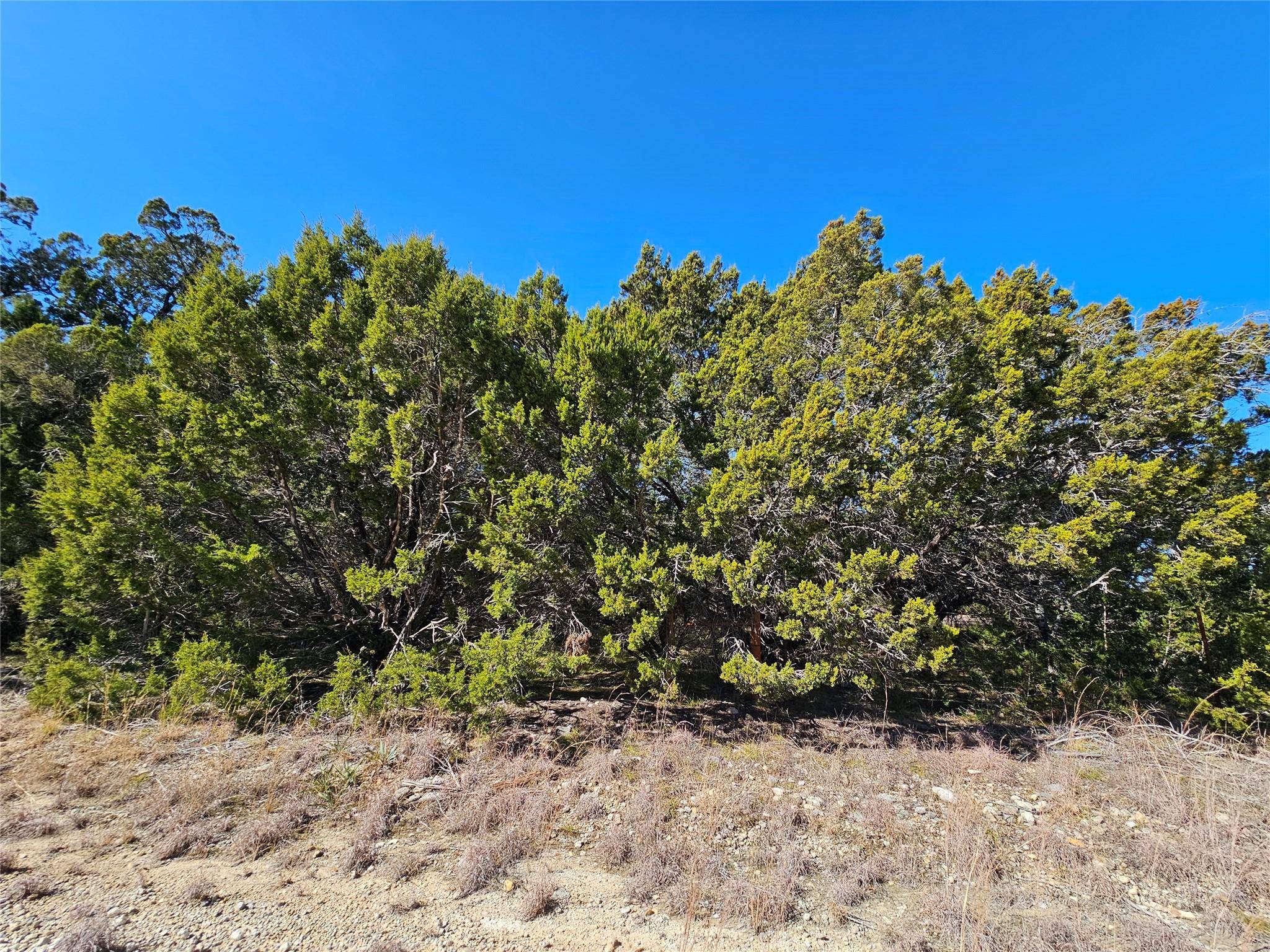 Evant, TX 76525,TBD County Road 3831