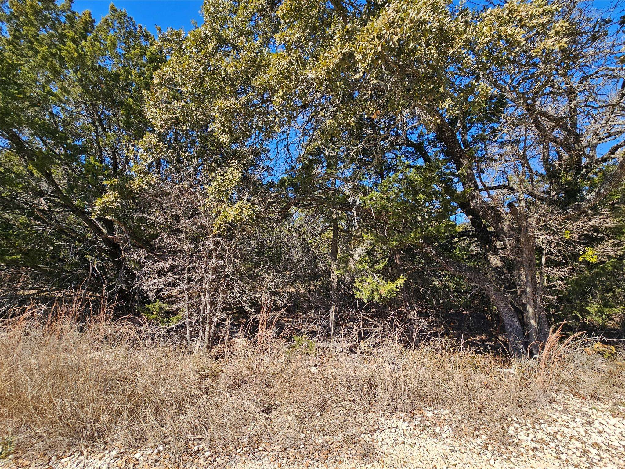 Evant, TX 76525,TBD County Road 3831