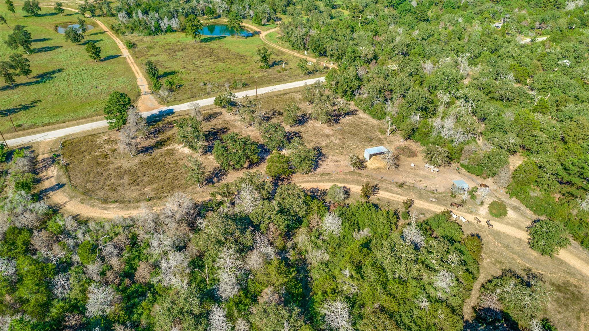 Smithville, TX 78957,157 Cricket Hollow LN