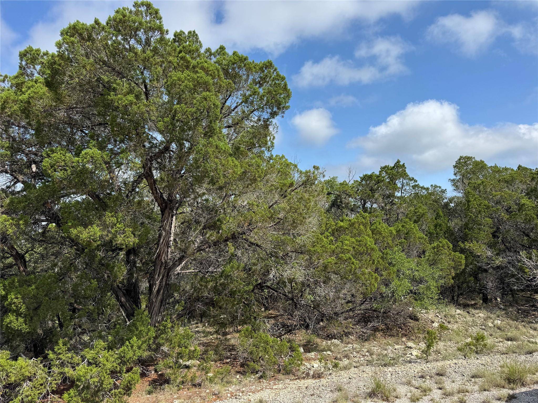 Lago Vista, TX 78645,8302 Chestnut CV