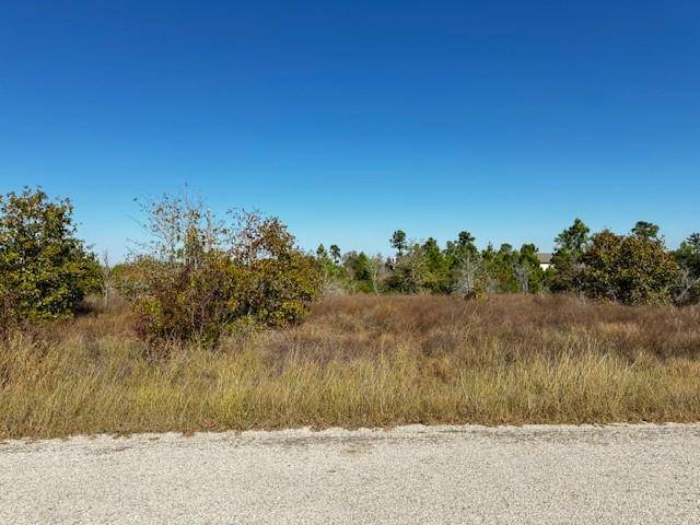 Bastrop, TX 78602,TBD River Forest DR