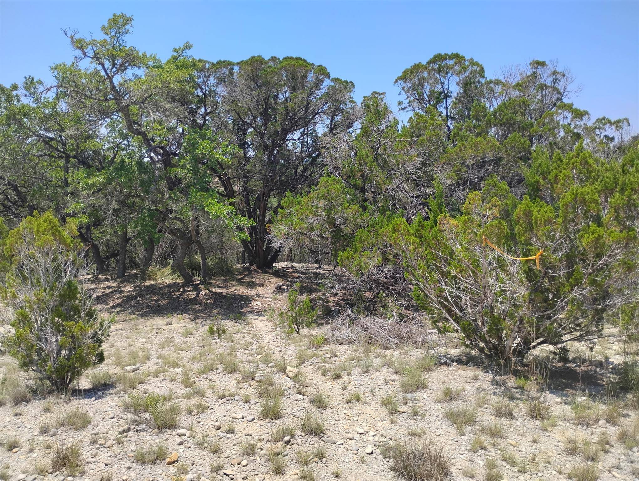 Bandera, TX 78003,21 & 22 Fossil Rock RD
