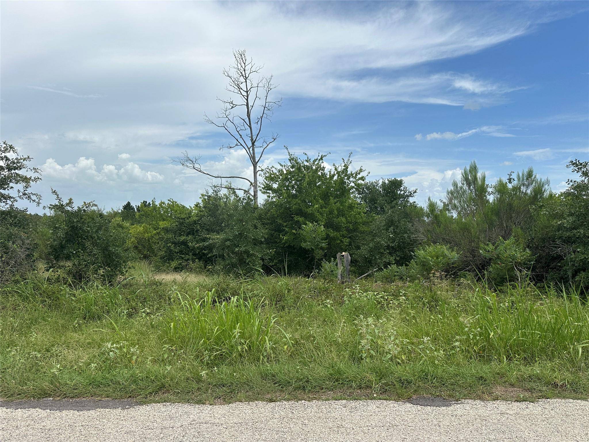 Bastrop, TX 78602,TBD McAllister RD