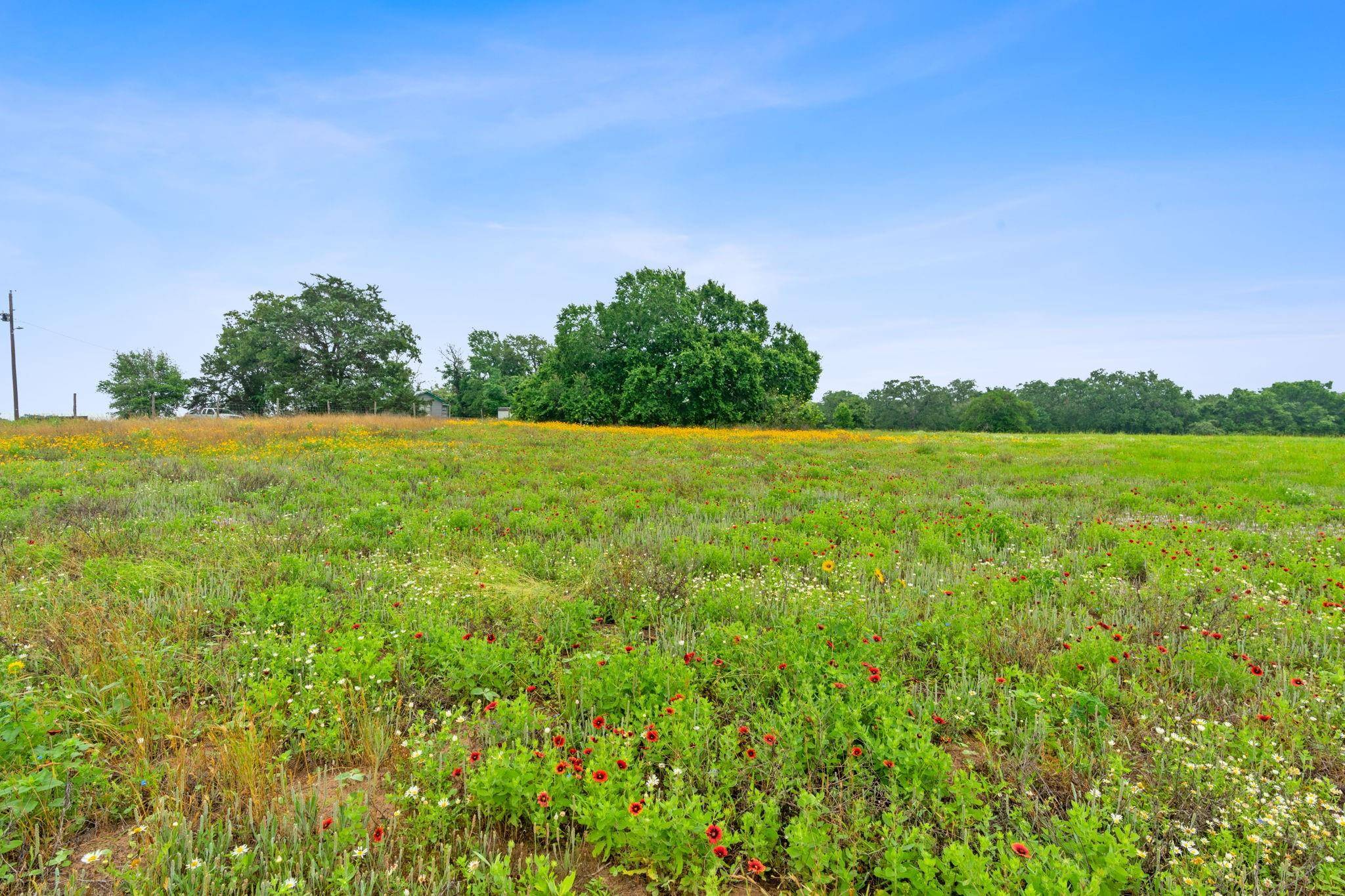 Harwood, TX 78629,Lot 4 County Rd 441