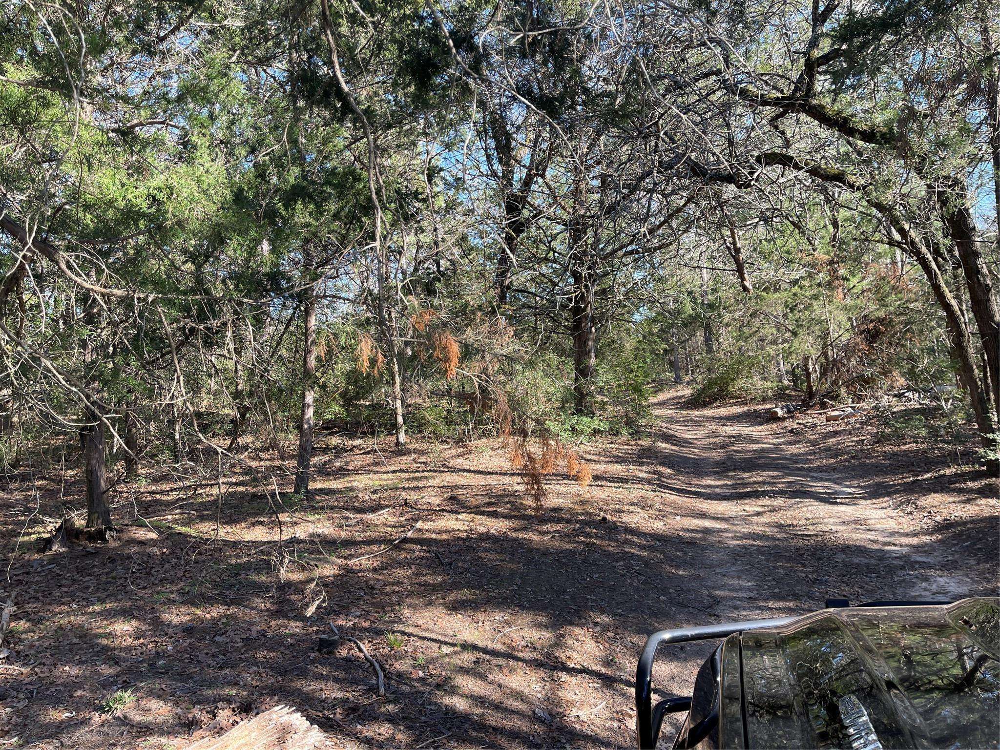 Smithville, TX 78957,000 Split Oak RD