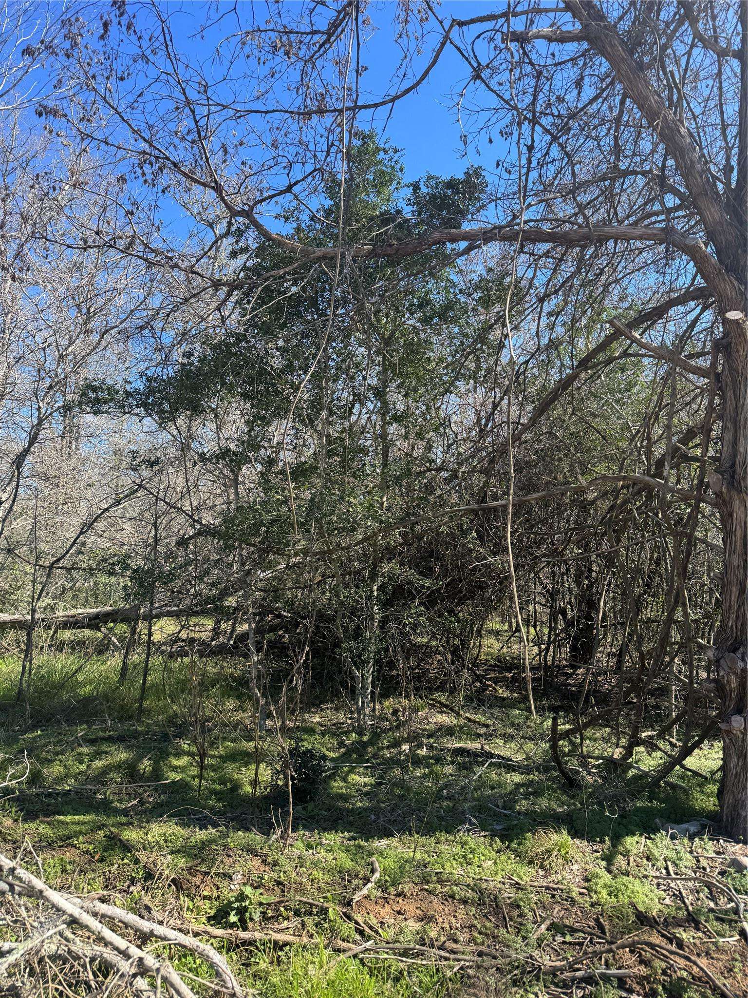 Bastrop, TX 78602,Lot 321 Kolekole LN