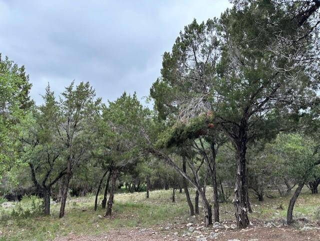 Lago Vista, TX 78645,4712 Country Club DR