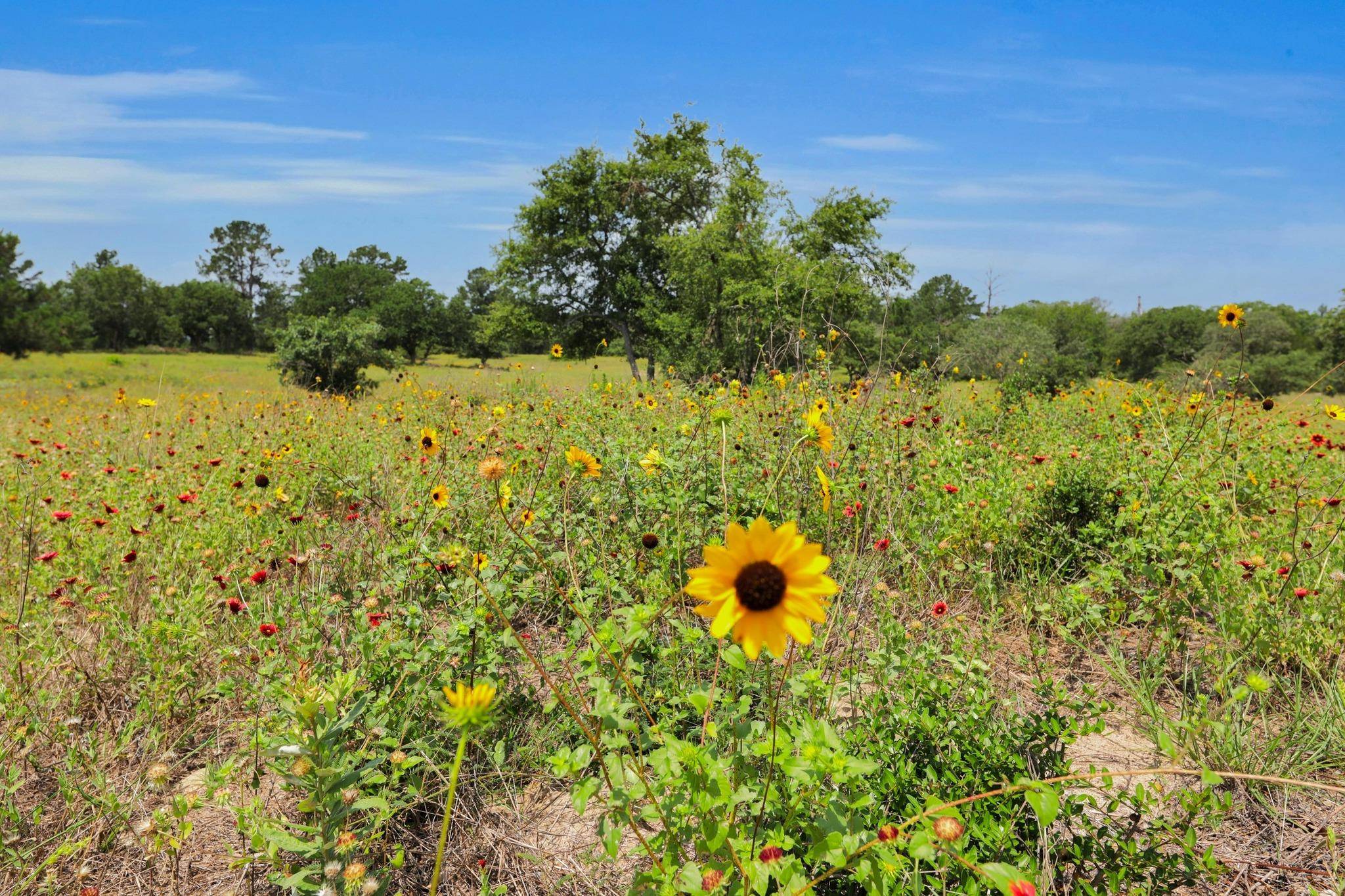 Rosanky, TX 78953,234 Sandy RD