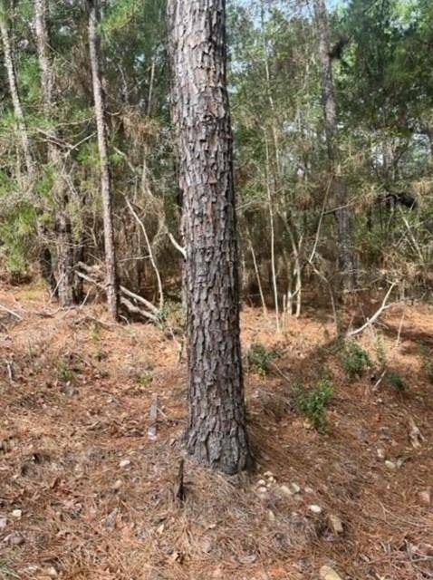 Bastrop, TX 78602,Lot 345 Wainee DR