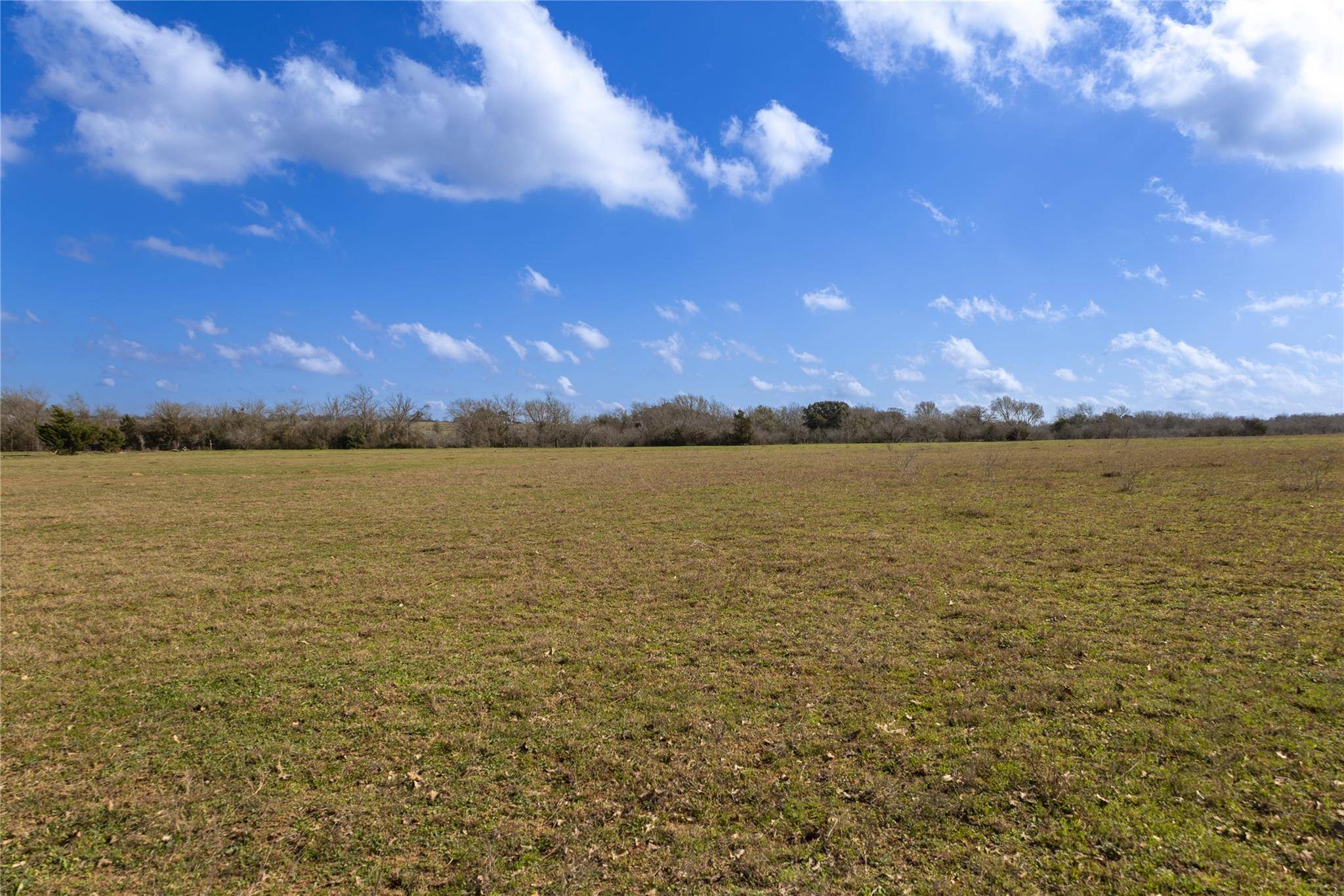Harwood, TX 78629,Lot 7 Mule Creek Rd