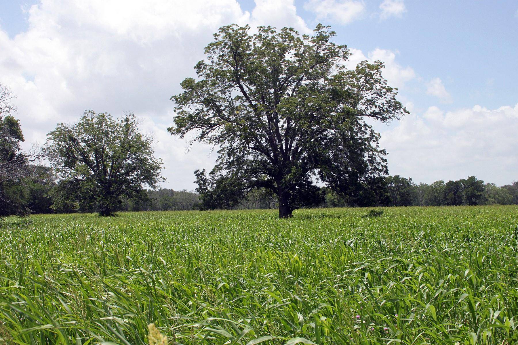 Lockhart, TX 78644,00 FM 86 HWY