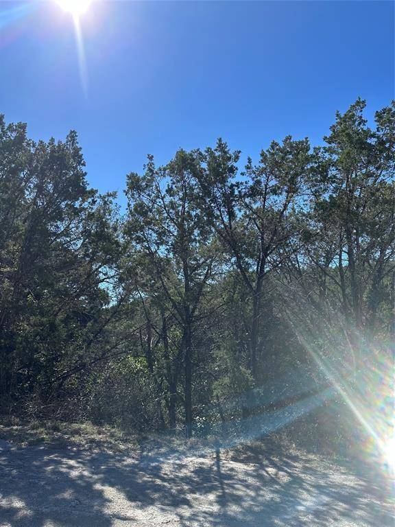 Lago Vista, TX 78645,20710 Post Oak DR