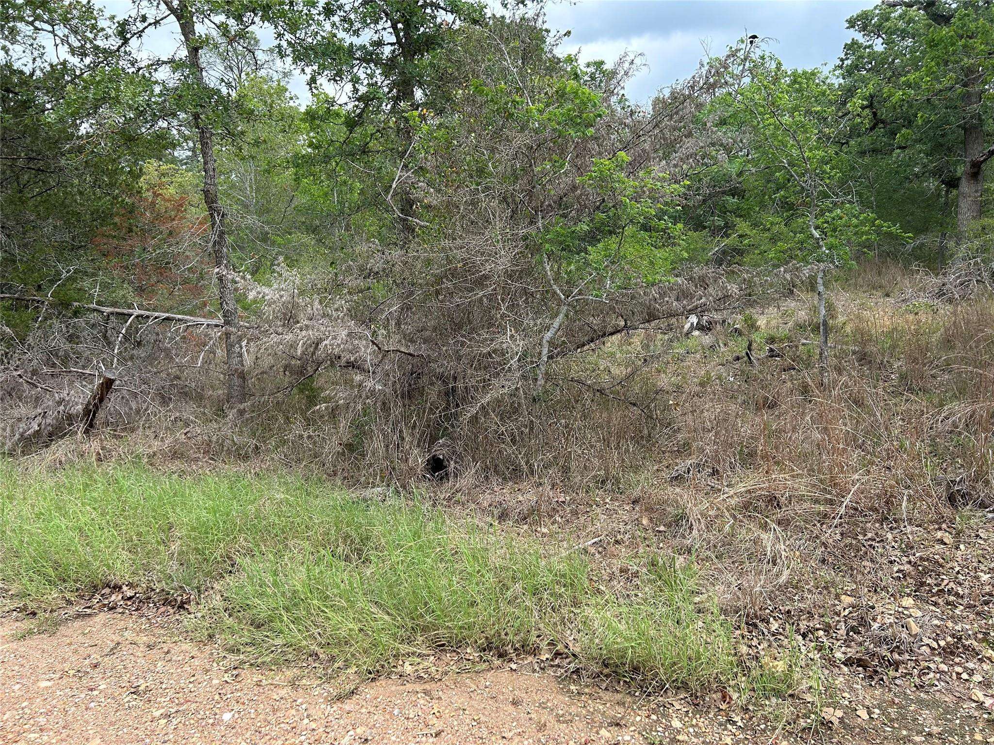La Grange, TX 78945,Lot 54 Rick RD