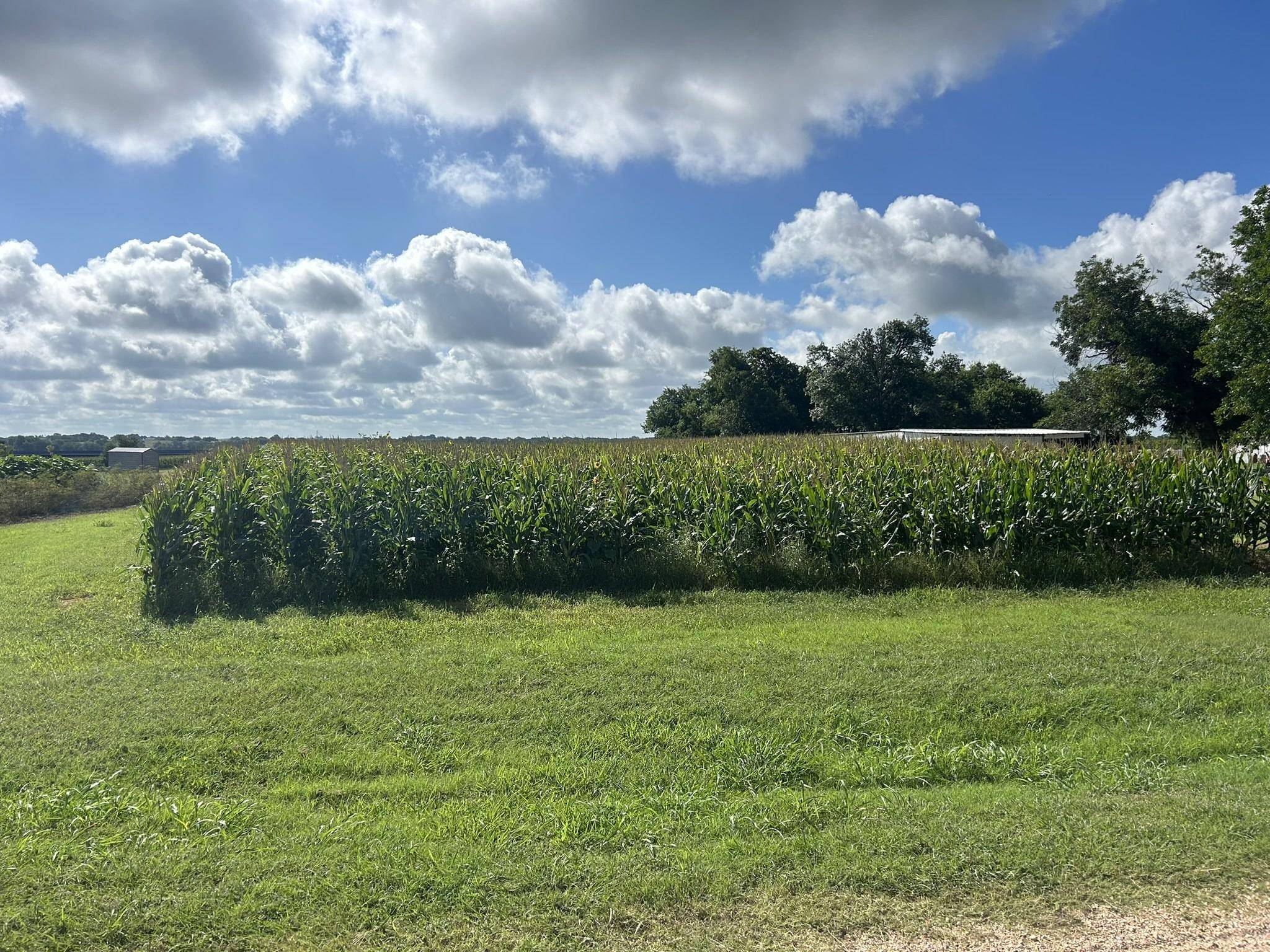 Temple, TX 76501,TBD Apple Cider RD