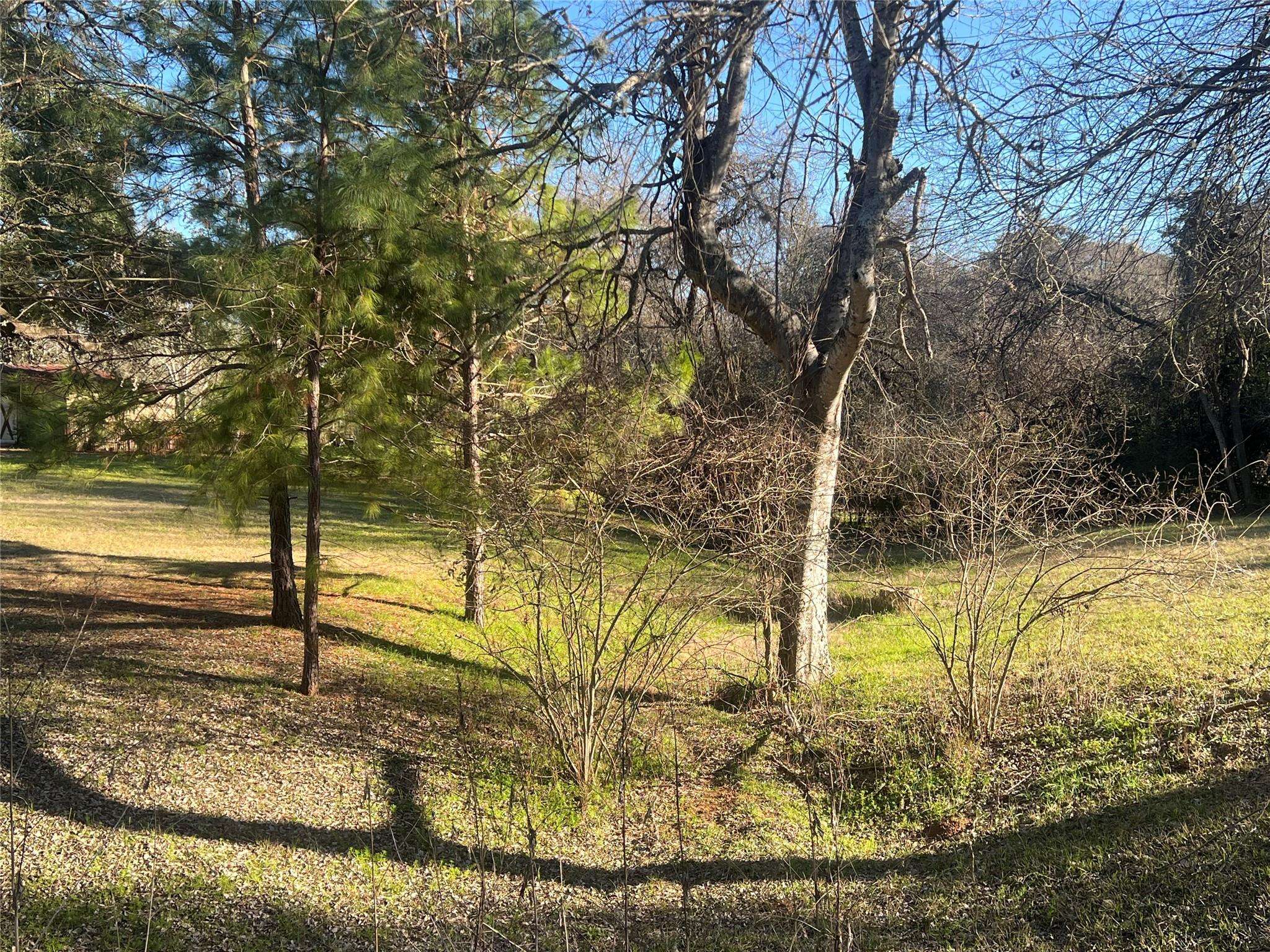 Smithville, TX 78957,TBD 5th Ave