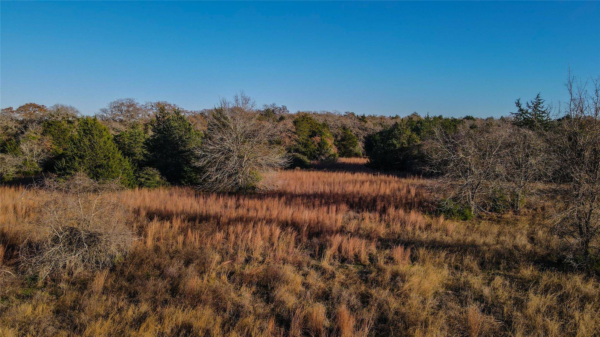 Caldwell, TX 77836,TBD County Road 324 (+/- 22.552 acres)