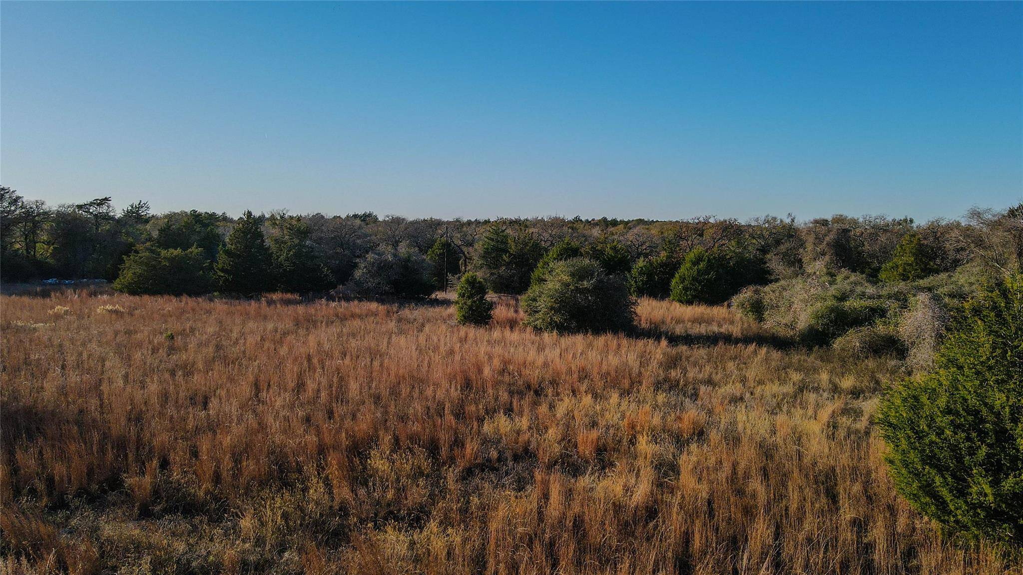 Caldwell, TX 77836,TBD County Road 324 (+/- 22.552 acres)