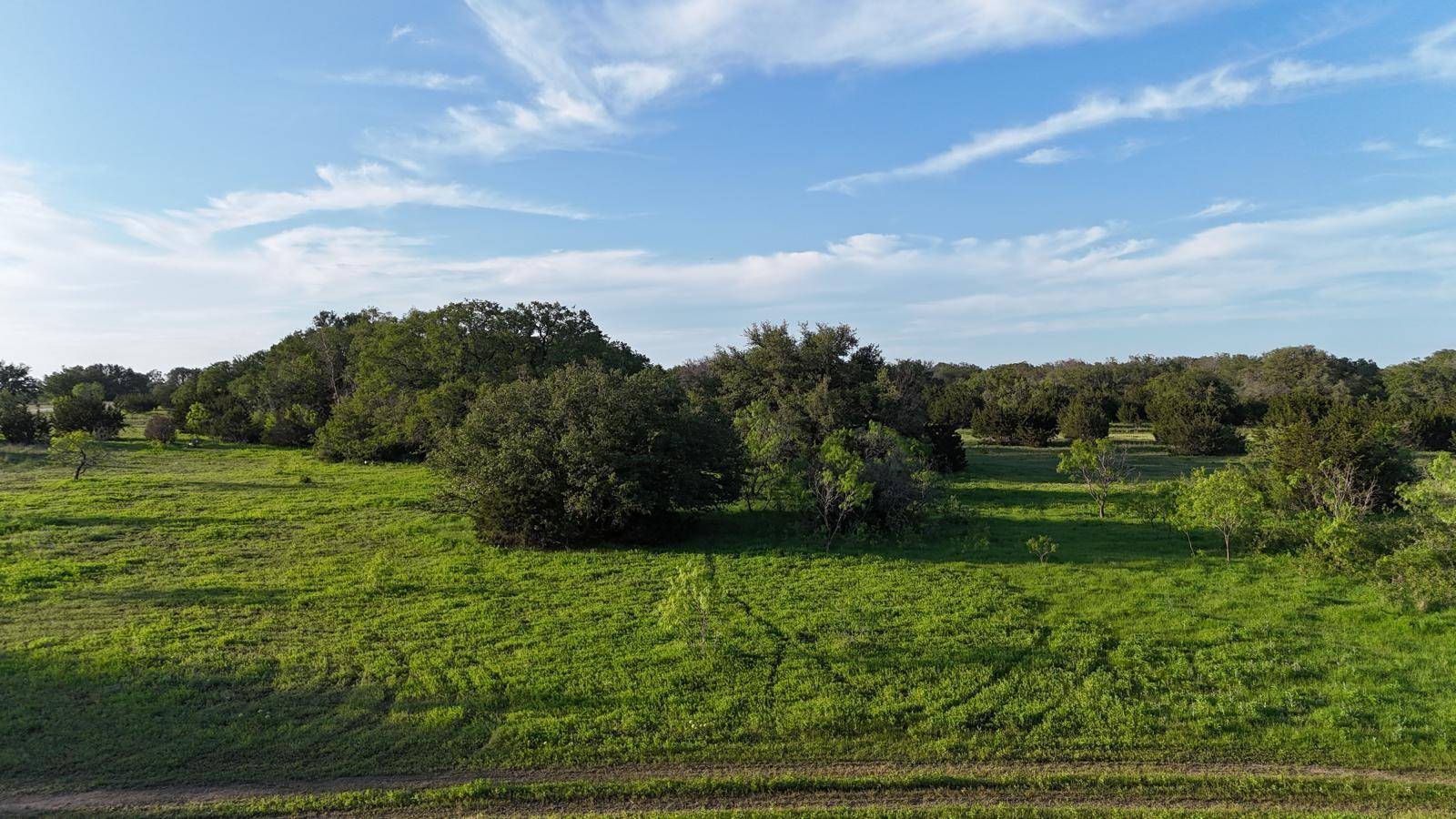 Bertram, TX 78605,TBD Lot 2 - County Rd 210