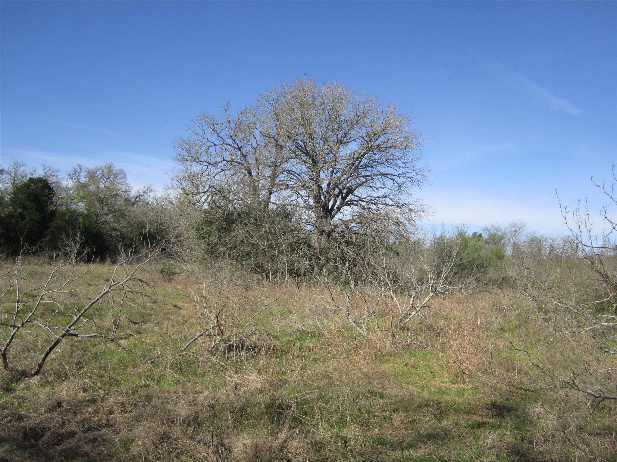 Elgin, TX 78621,851 County Road 491