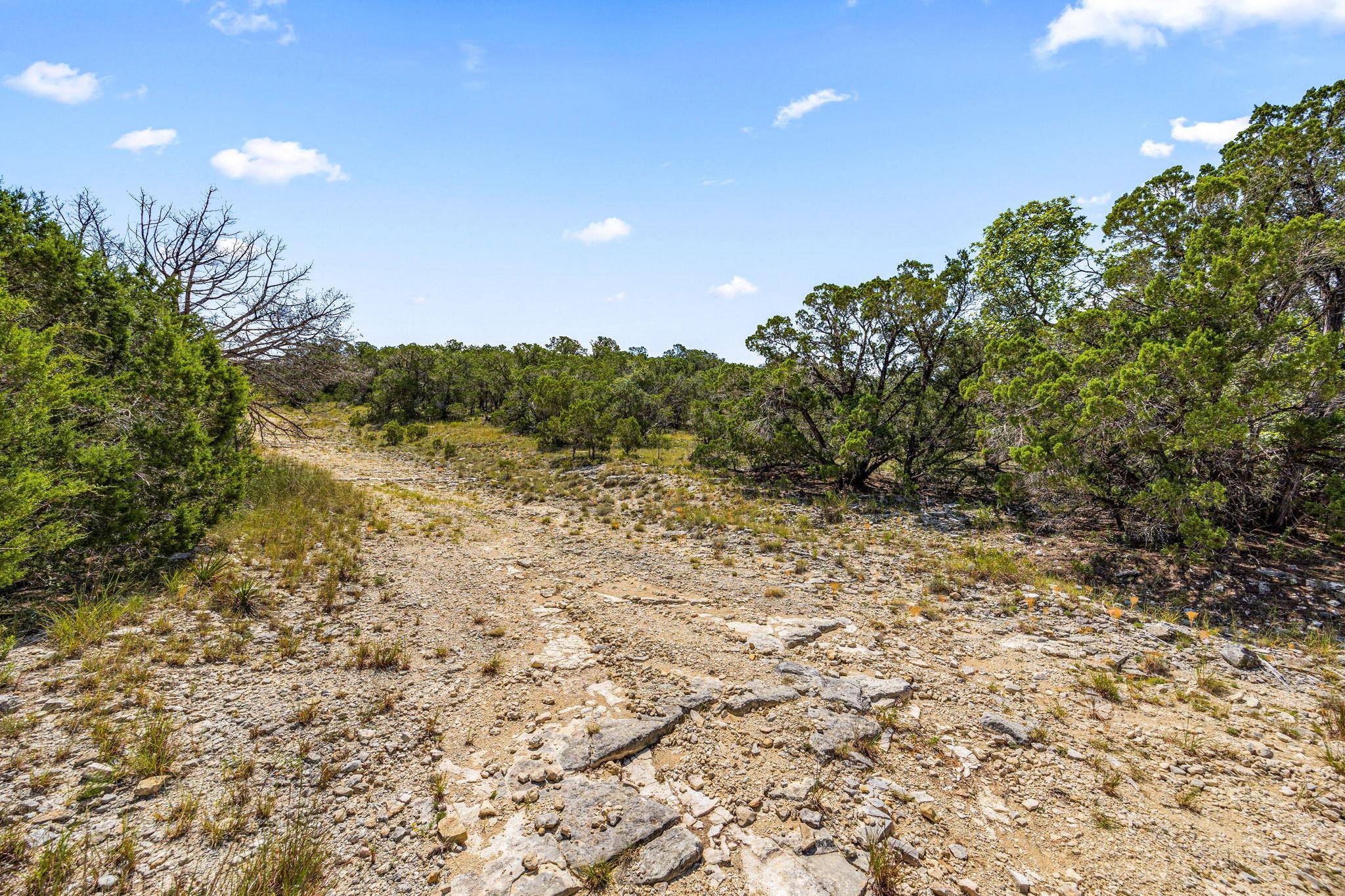 Jonestown, TX 78645,10692 Deer Canyon RD
