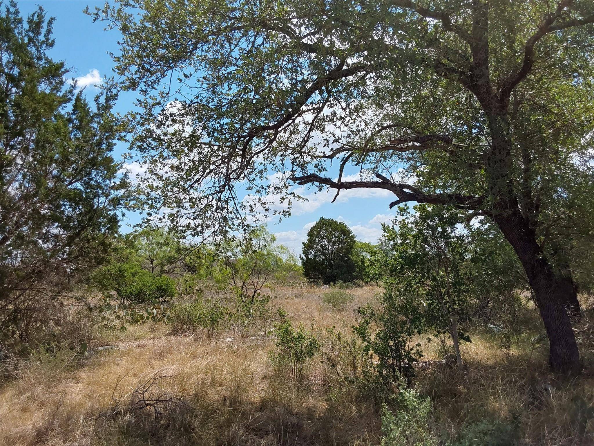 Spicewood, TX 78669,LOT 201 Sundance View PT