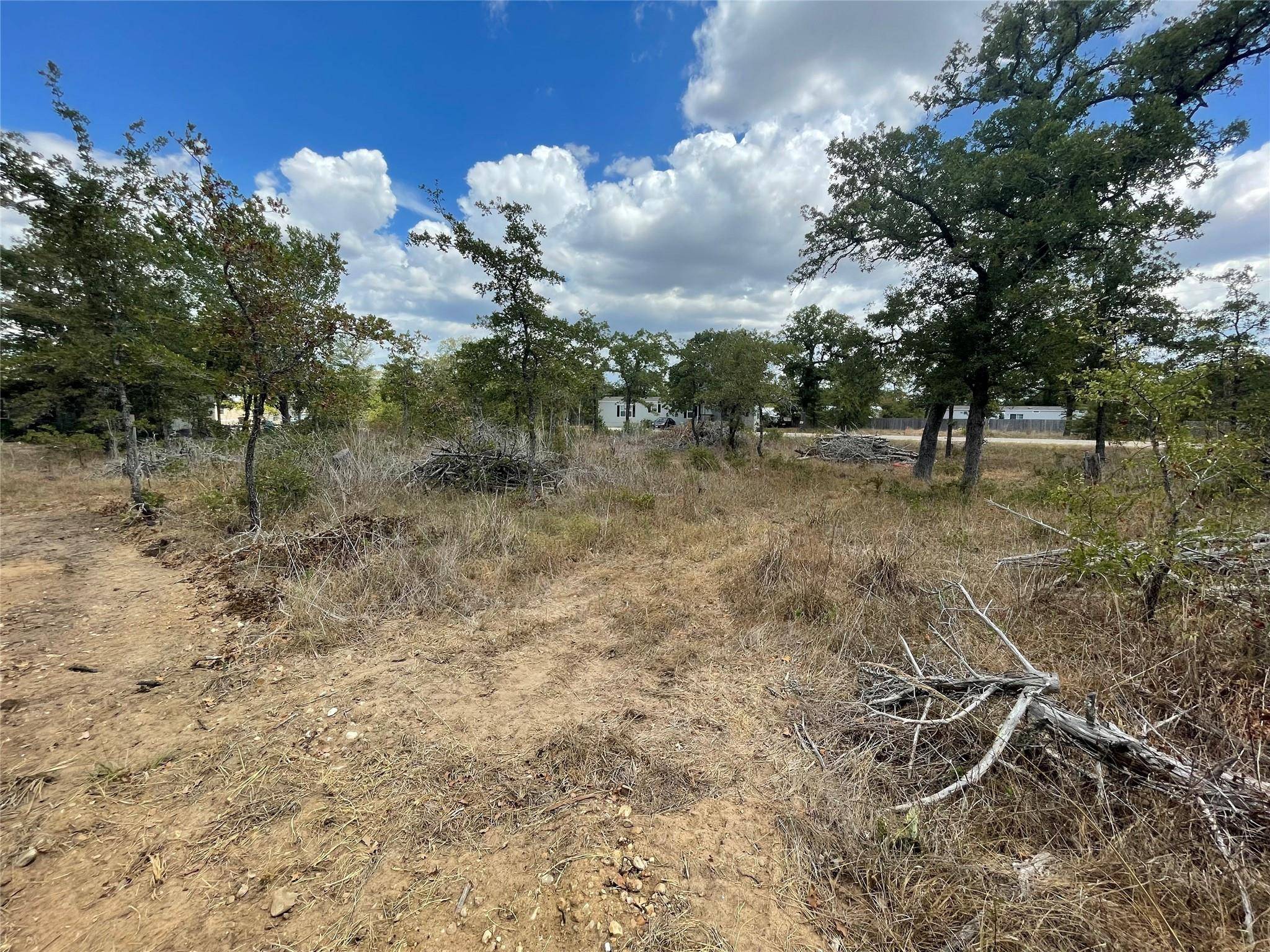 Smithville, TX 78957,Lot 219 Chickasaw