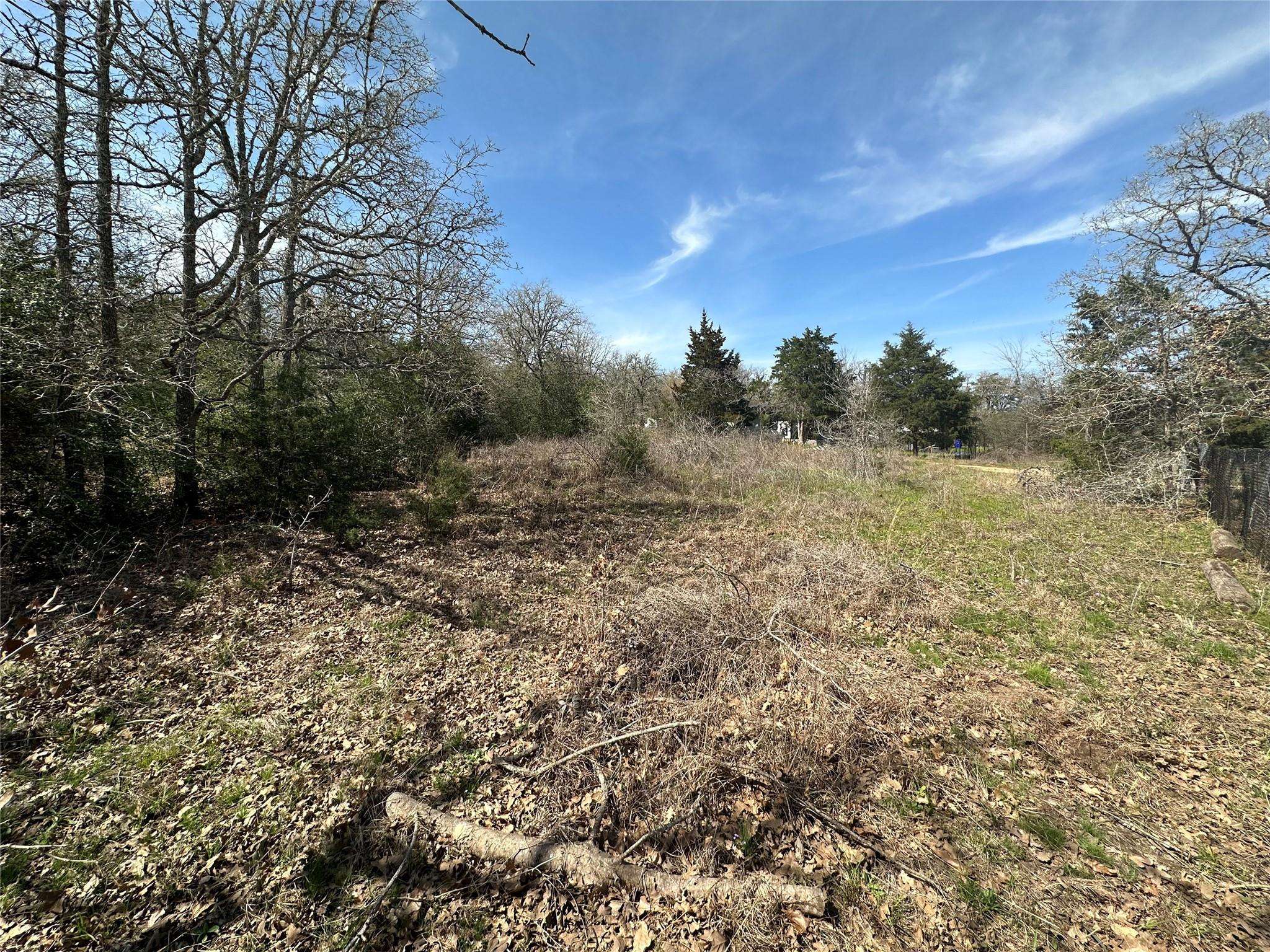 Smithville, TX 78957,Lot 219 Chickasaw