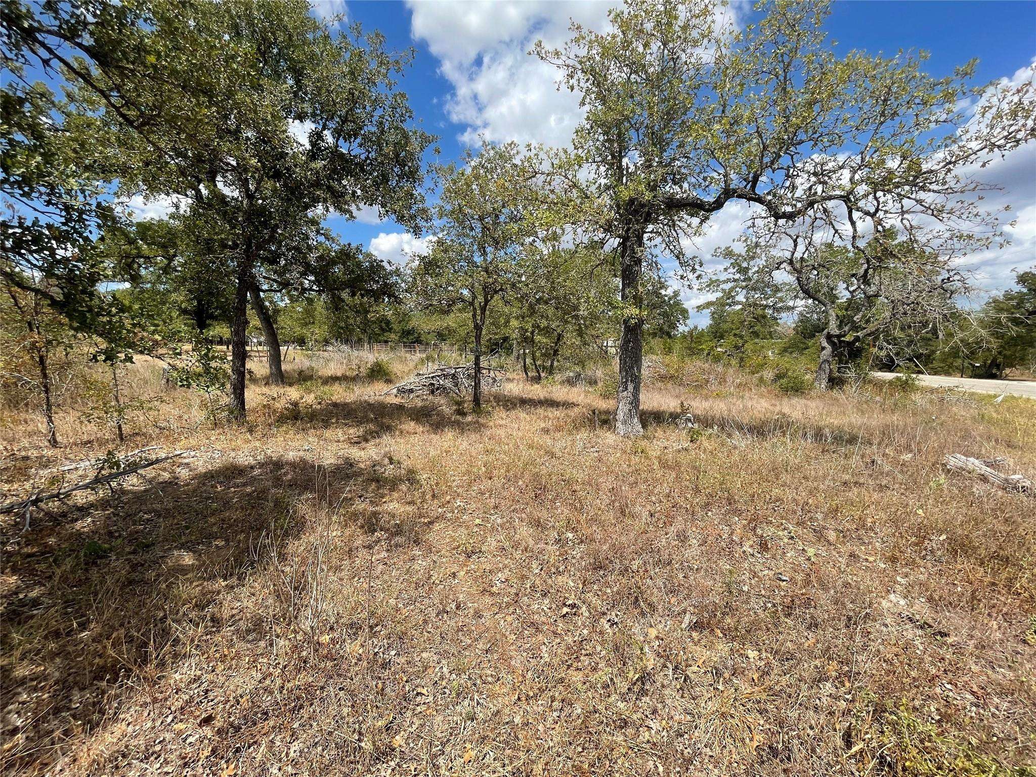 Smithville, TX 78957,Lot 219 Chickasaw