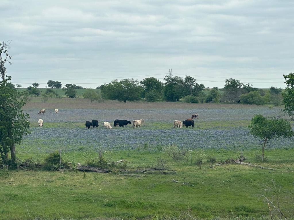 Salado, TX 76571,TBD Hackberry RD