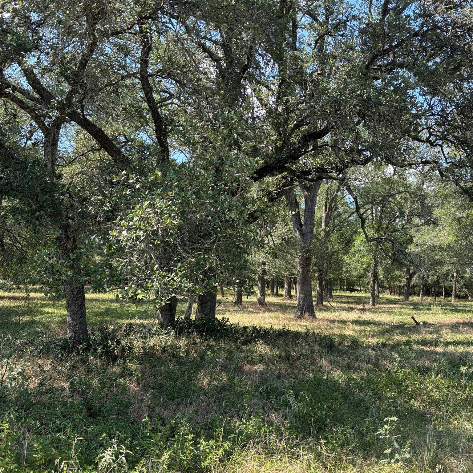 La Grange, TX 78945,2477 State Highway 159