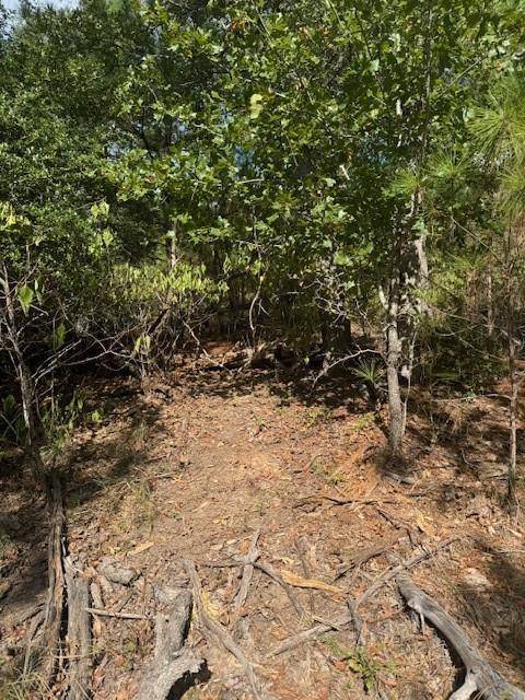 Bastrop, TX 78602,Lot 1338 Tahitian DR