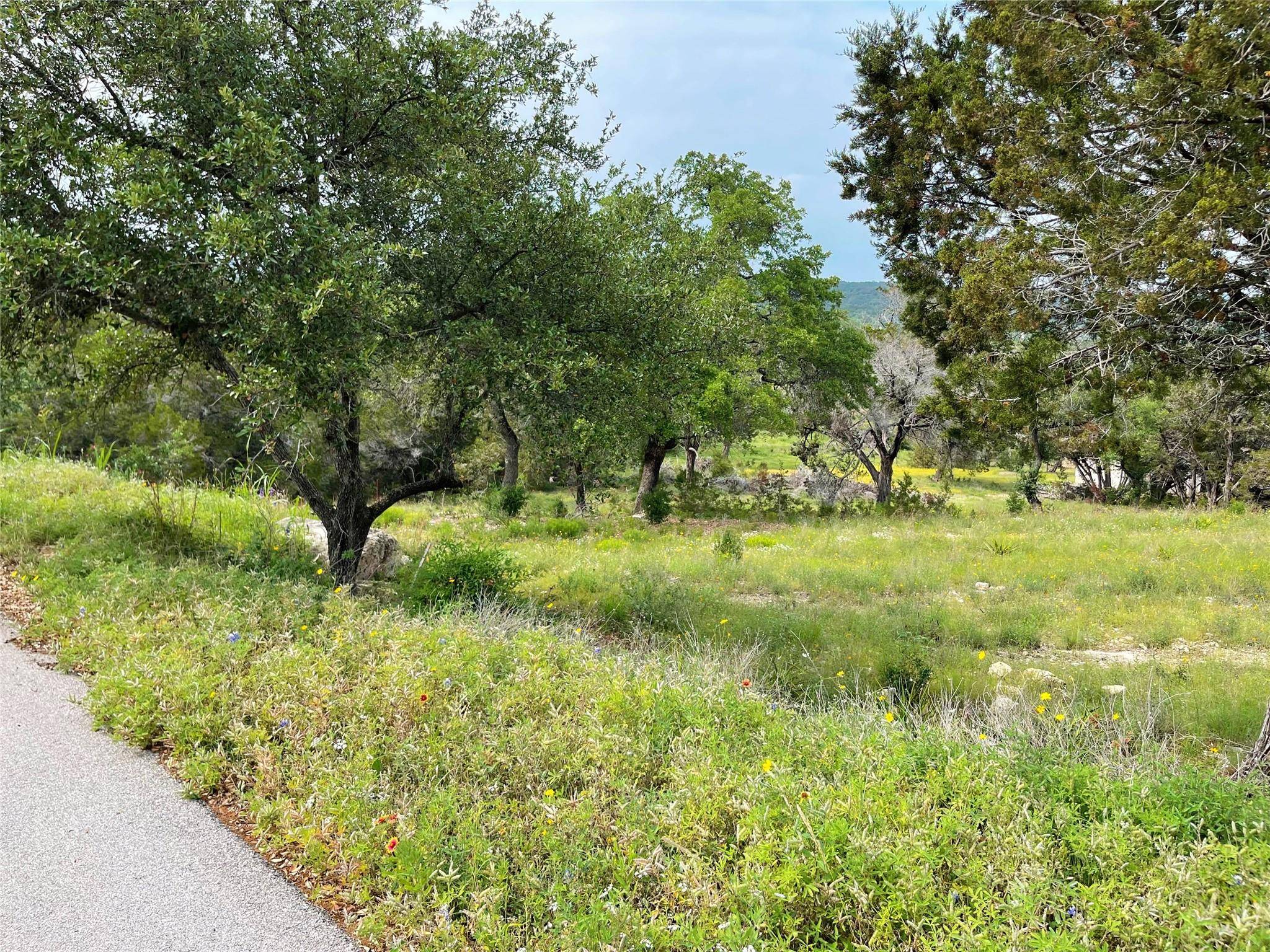 Spicewood, TX 78669,1102 Debco LN