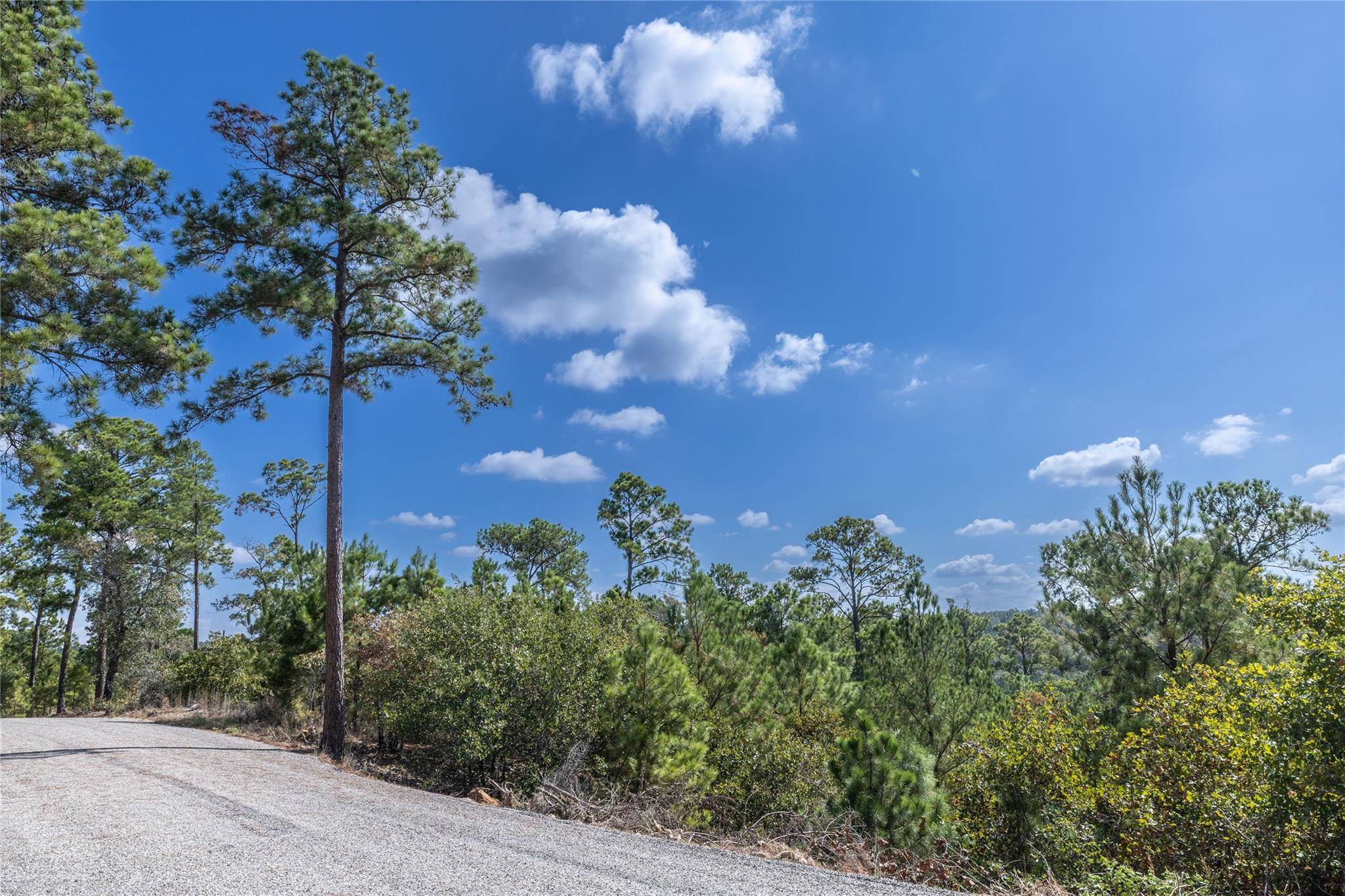 Bastrop, TX 78602,Lot 707 E Waimea CT