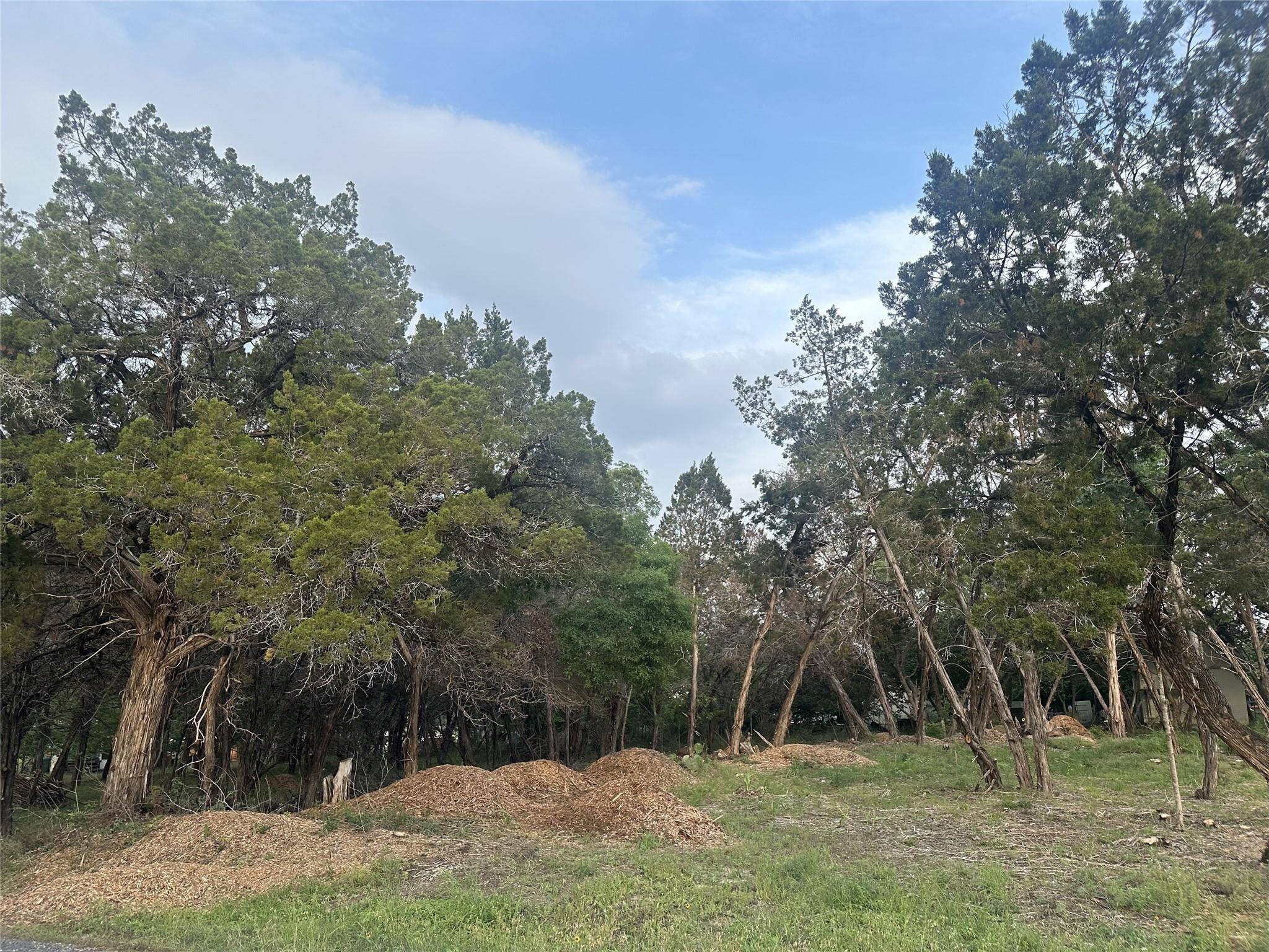 Lago Vista, TX 78645,3105 Rainbow Hollow DR