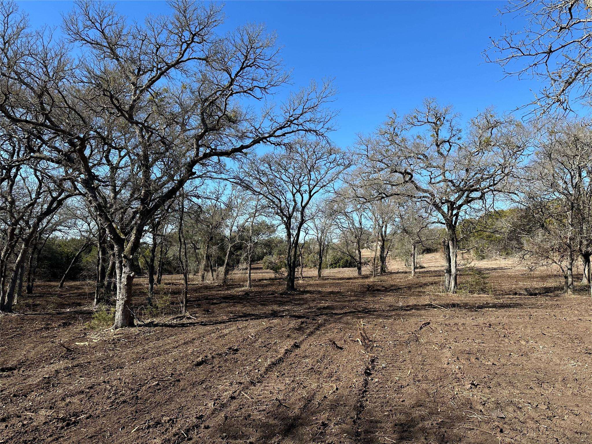 Gatesville, TX 76528,Tract 1 FM 2955