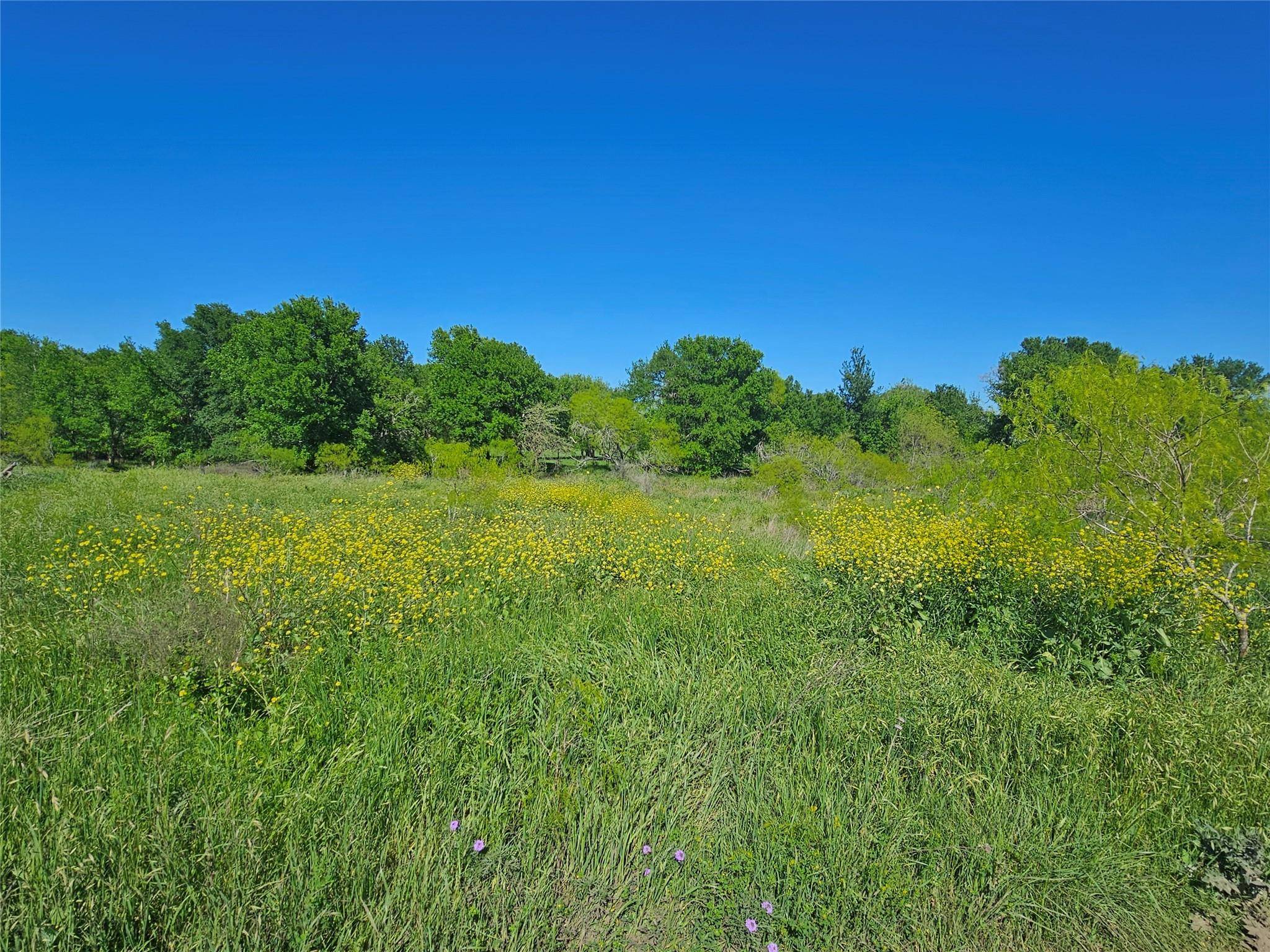 Lockhart, TX 78644,7756 State Park RD