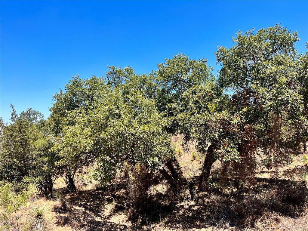 Granite Shoals, TX 78654,Lots 320-323 TBD W. Castlebriar DR