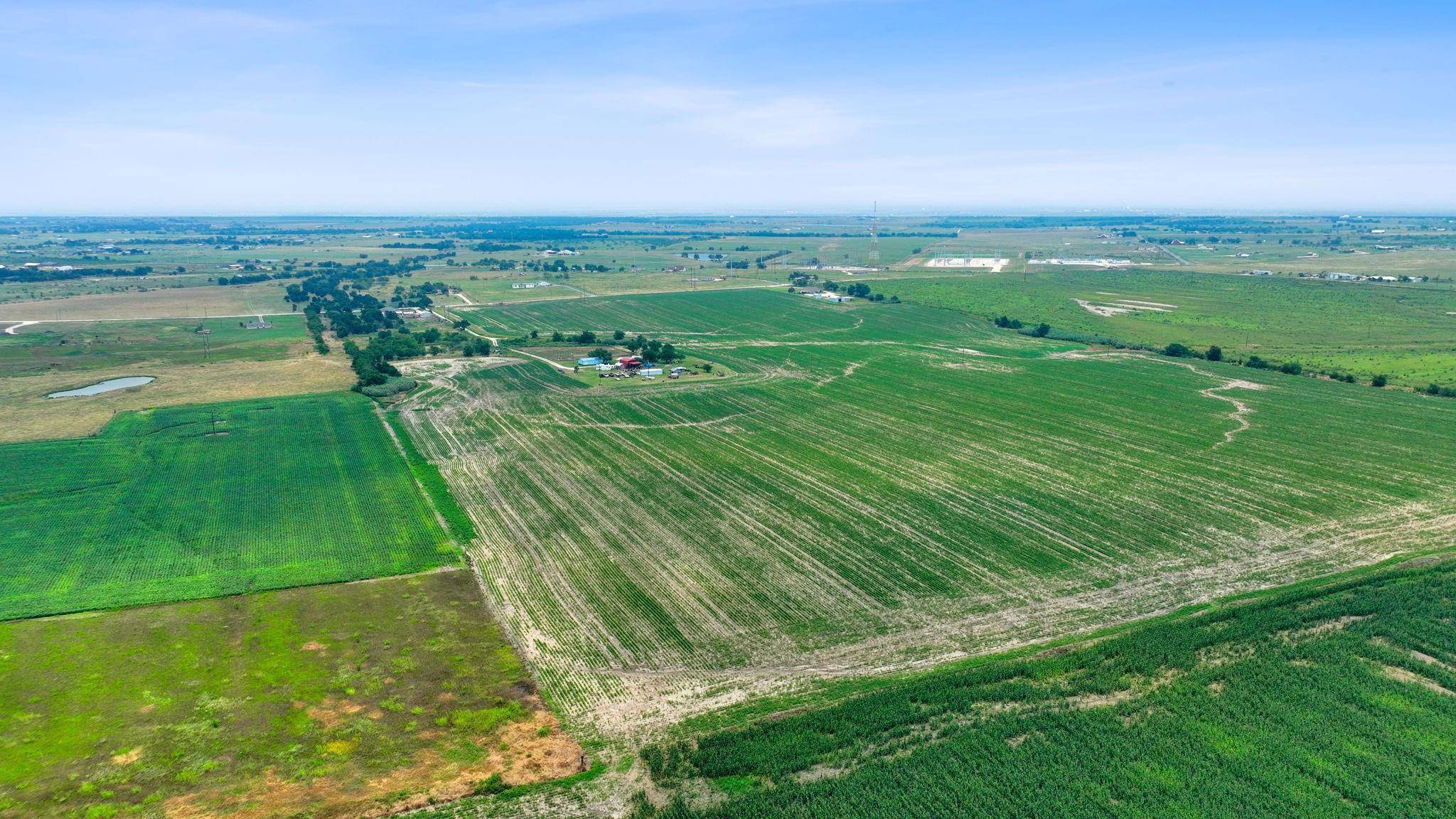 Elgin, TX 78621,1300 County Road 461