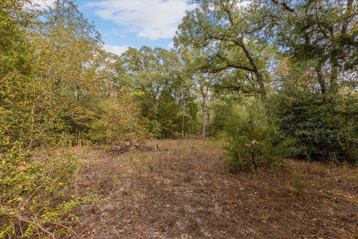 Elgin, TX 78621,120 Twin Oaks RD