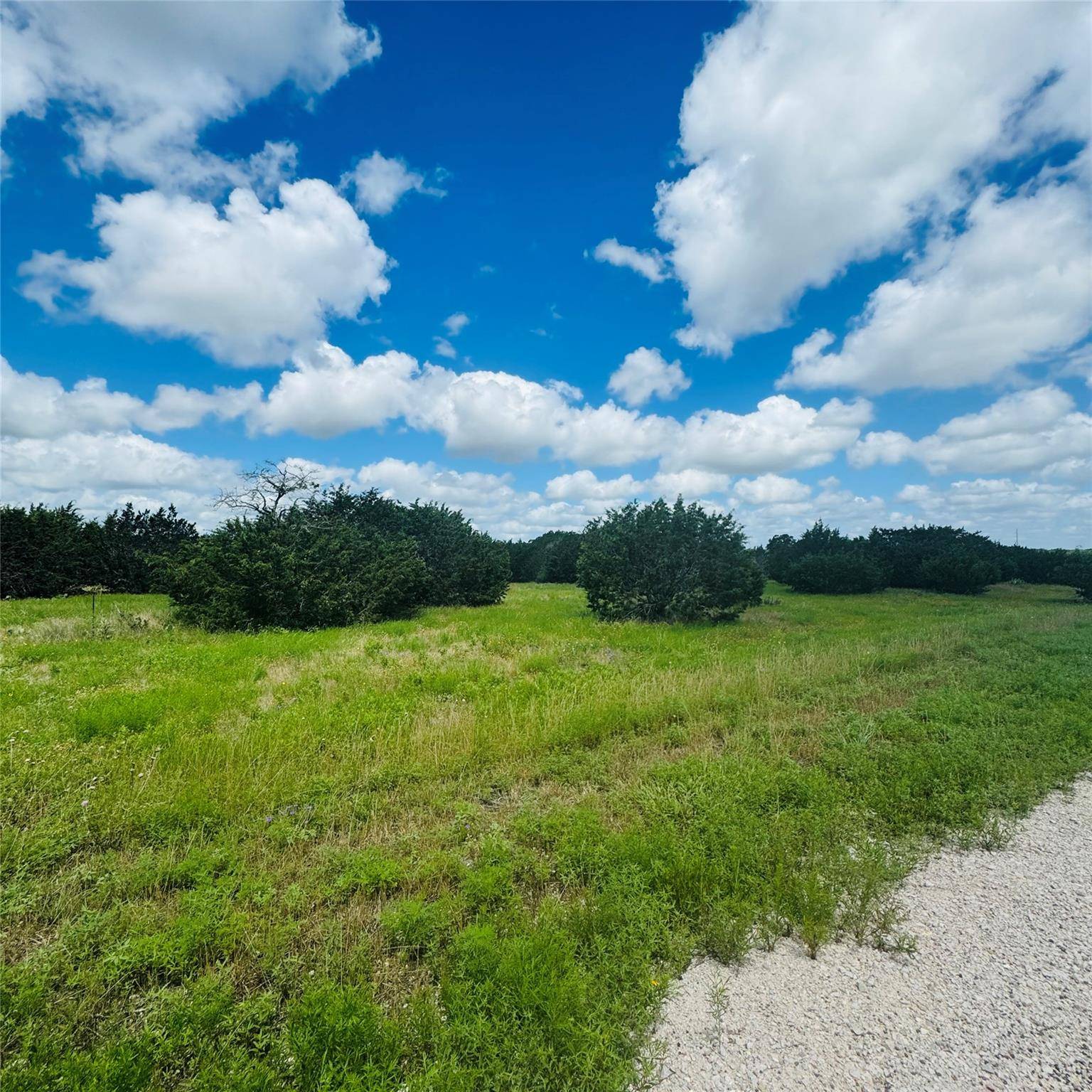 Bertram, TX 78605,Lot #7 Riparian Elm RD