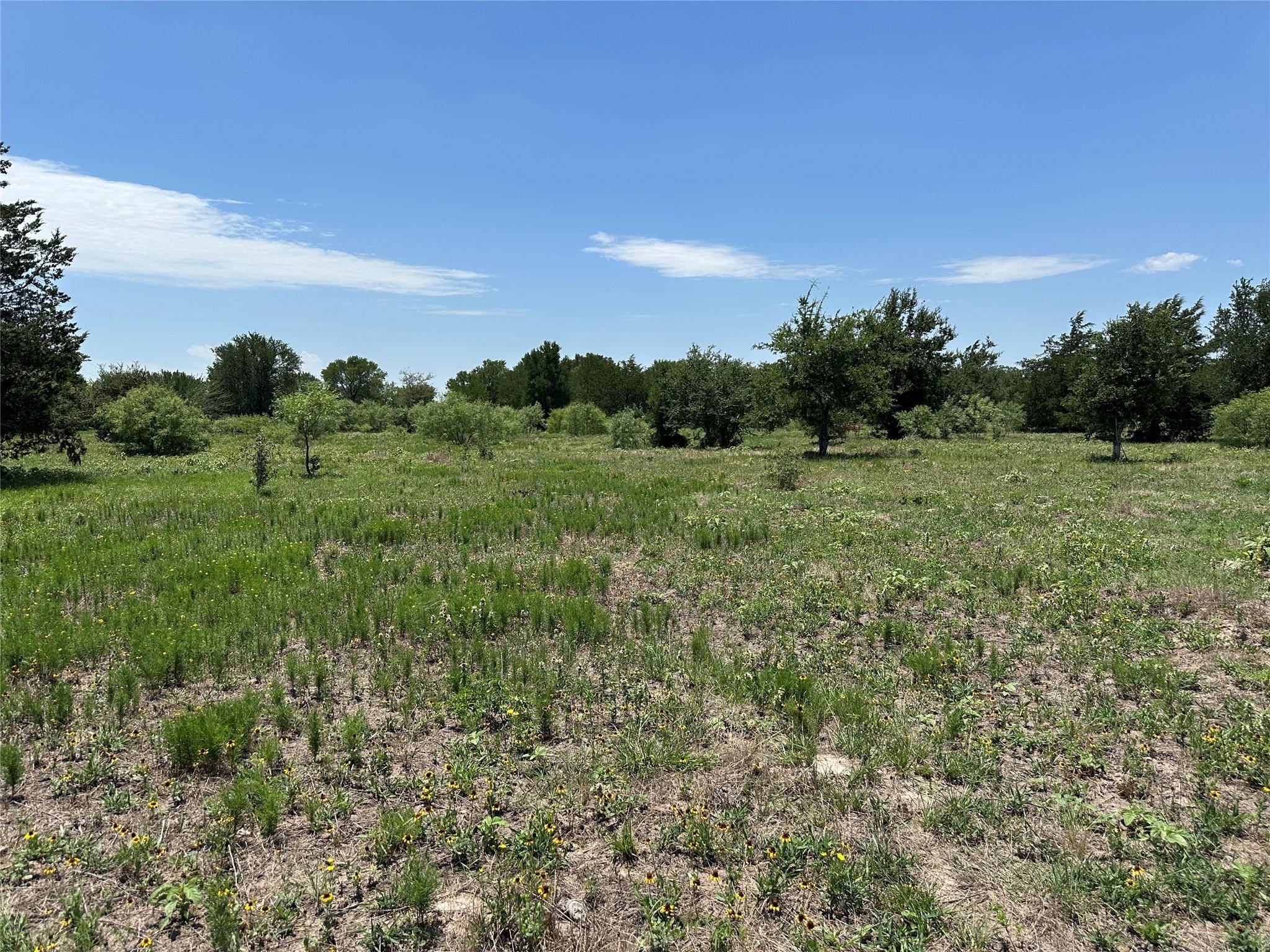 Smithville, TX 78957,Tract 3D Hwy 95 HWY