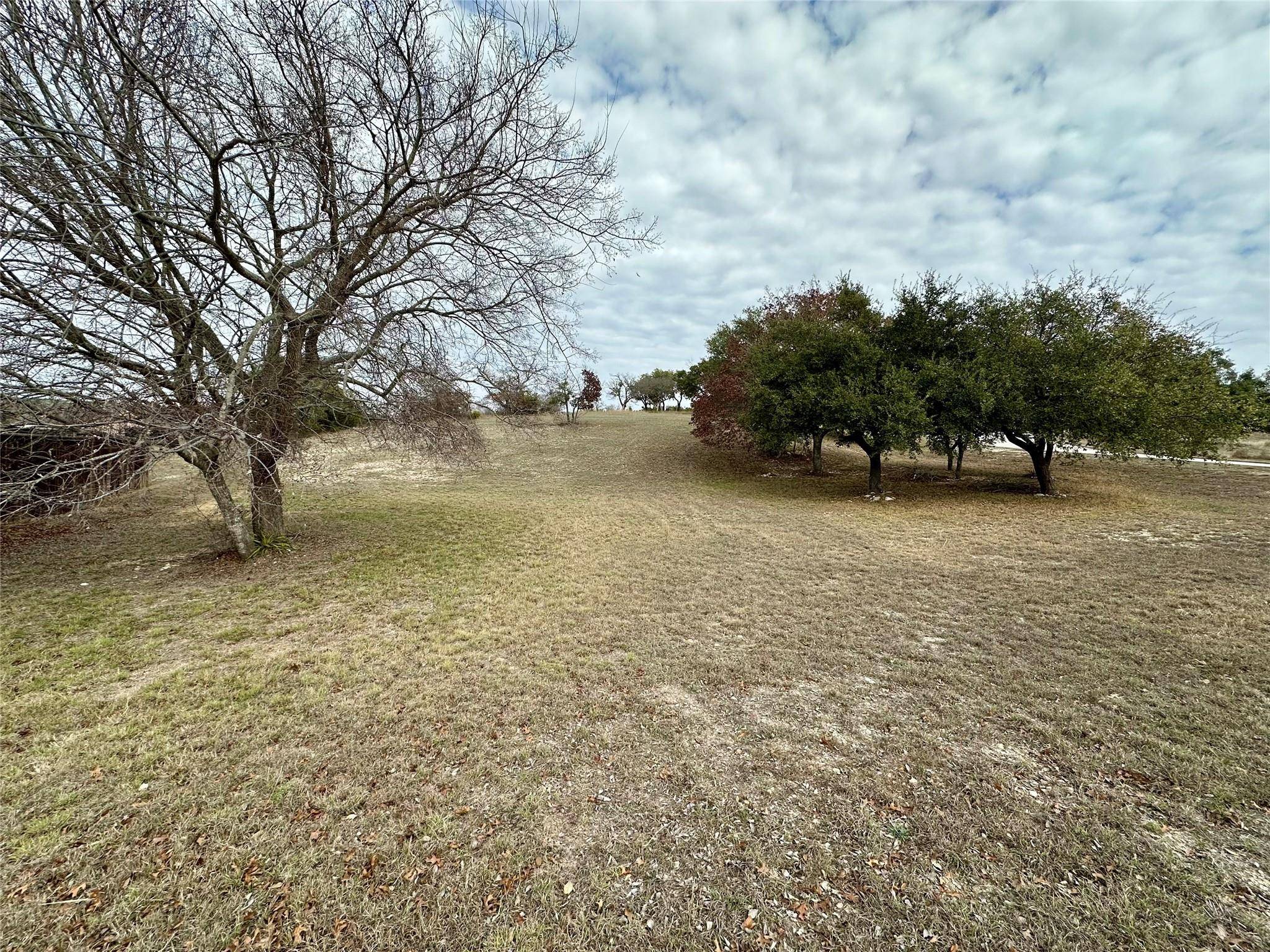 Burnet, TX 78611,Lot 24 Andy's PT