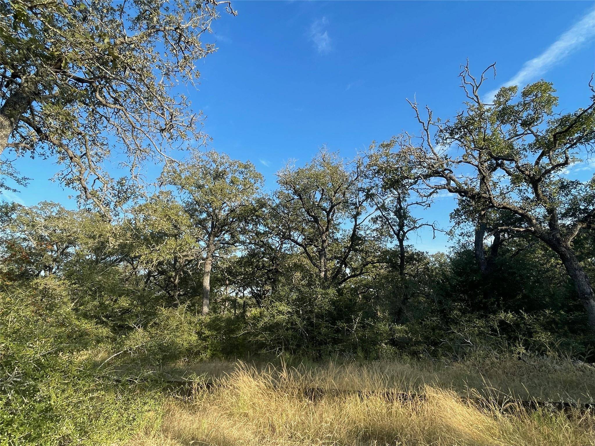 Cedar Creek, TX 78612,TBD Canyon LOOP