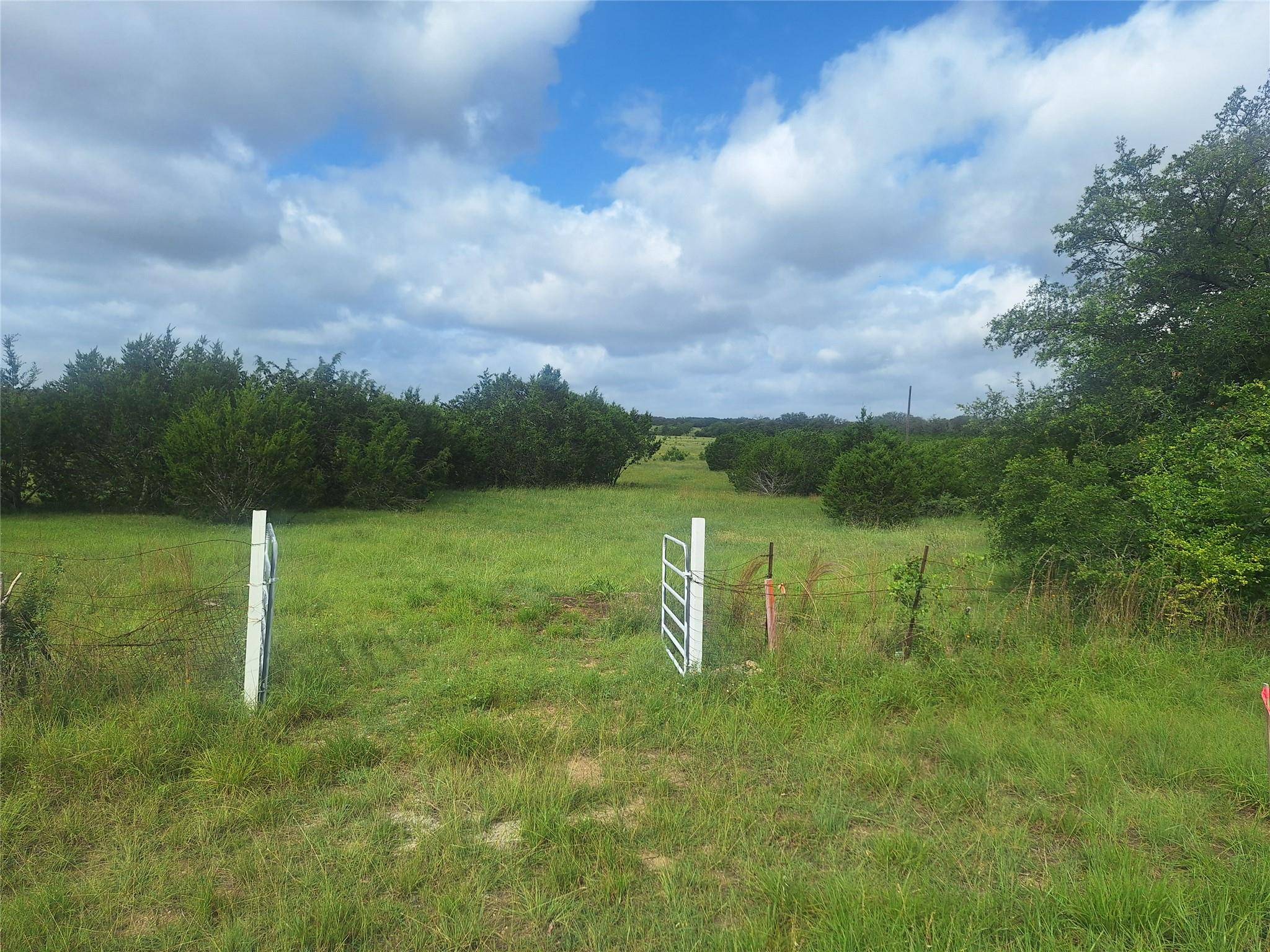 Georgetown, TX 79641,1483 County Road 281 RD