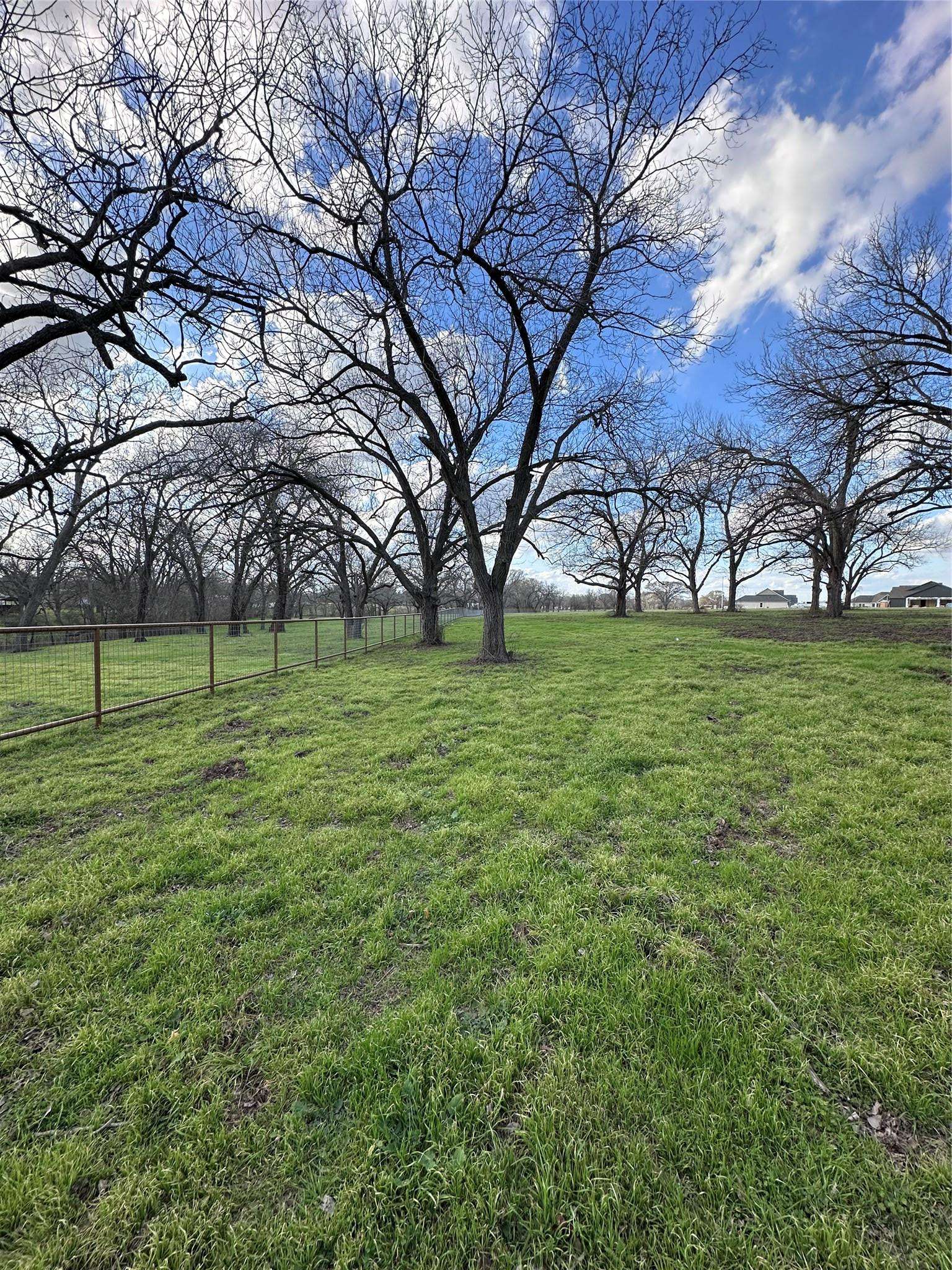 Smithville, TX 78957,Lot 14 Hydrangea DR