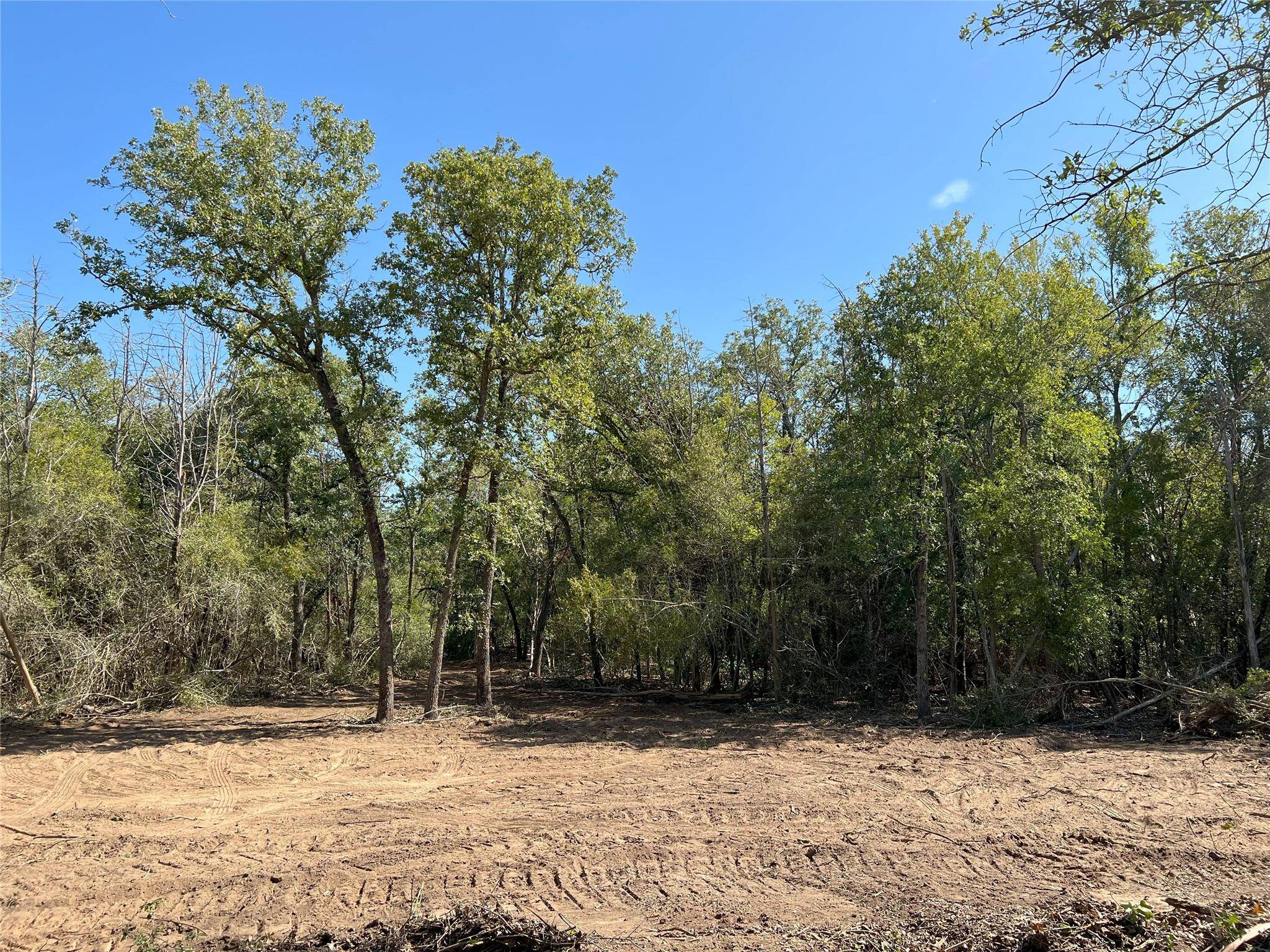 Cedar Creek, TX 78612,Lot 29D Mesquite DR