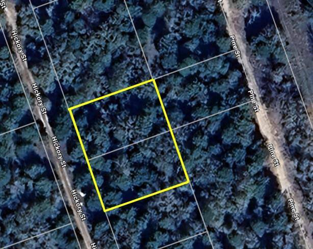 Paige, TX 78659,TBD Hickory ST