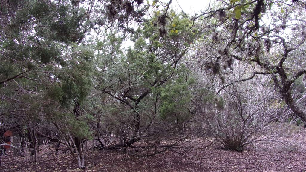 Canyon Lake, TX 78133,Lot 46 Mountain Wood